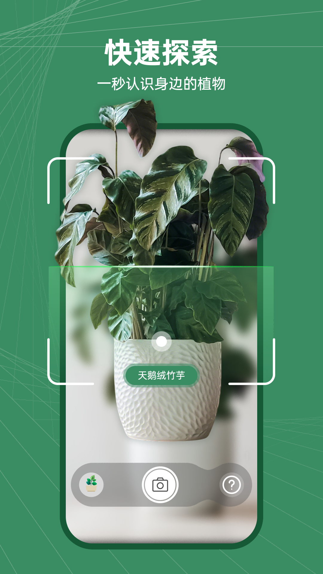 精彩截图-花草志2025官方新版