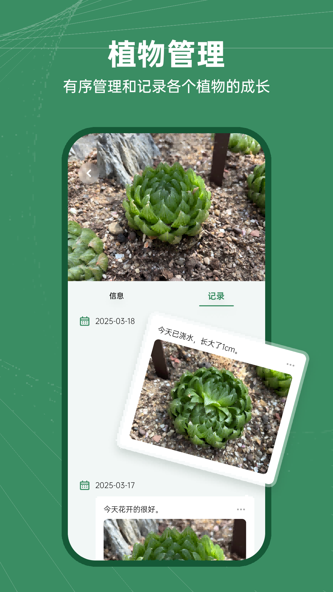 精彩截图-花草志2025官方新版