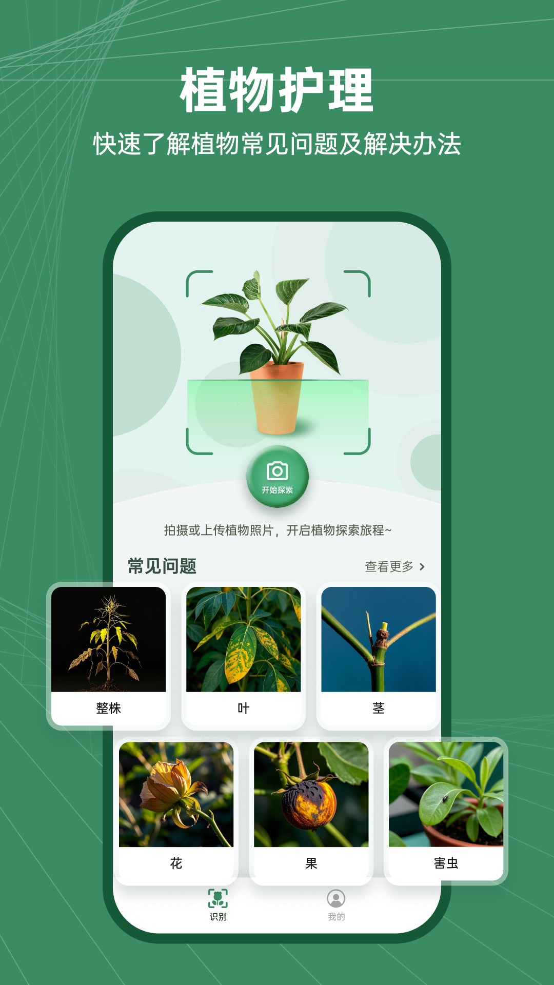 精彩截图-花草志2025官方新版