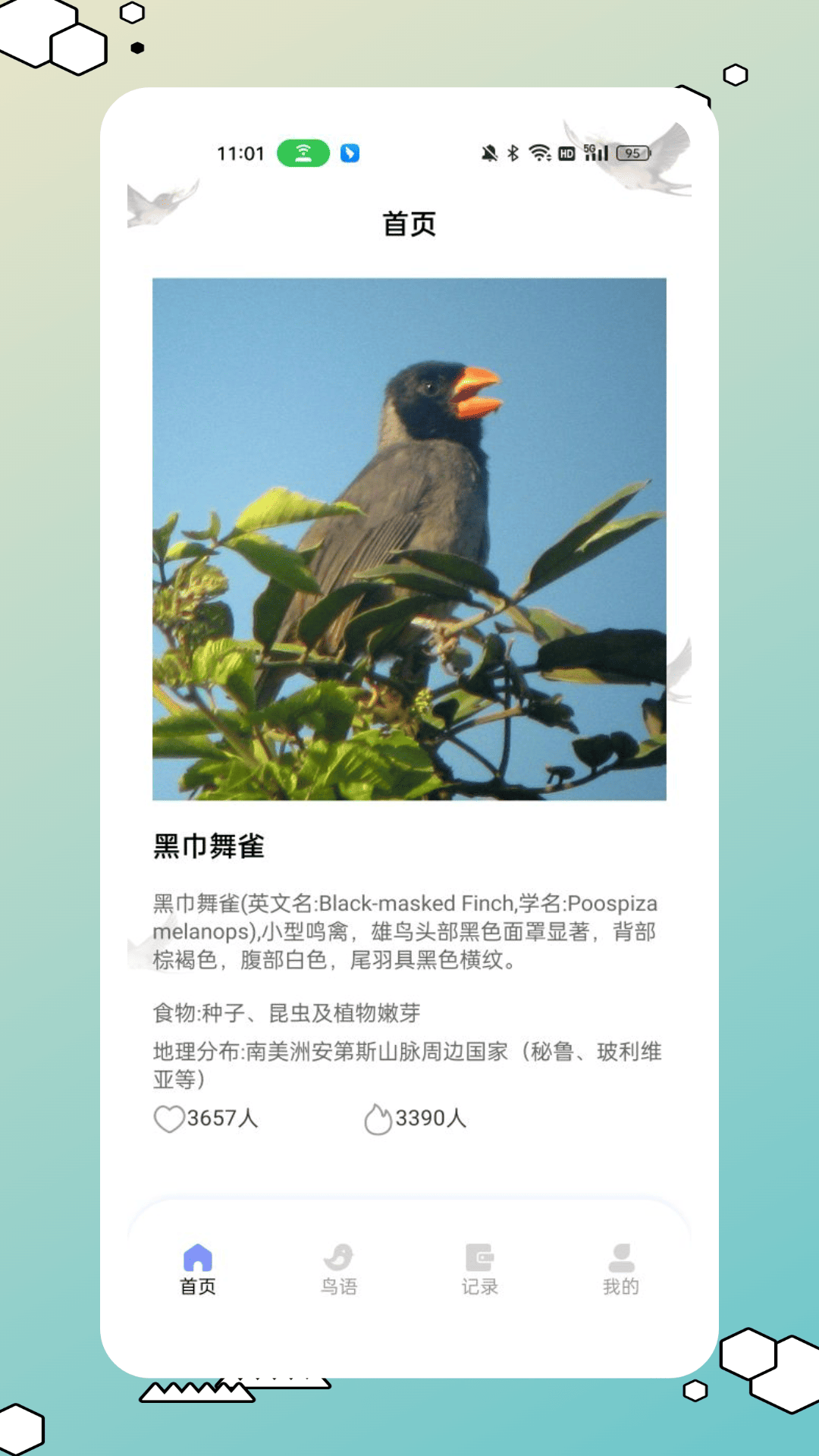 精彩截图-鸟类百科2025官方新版