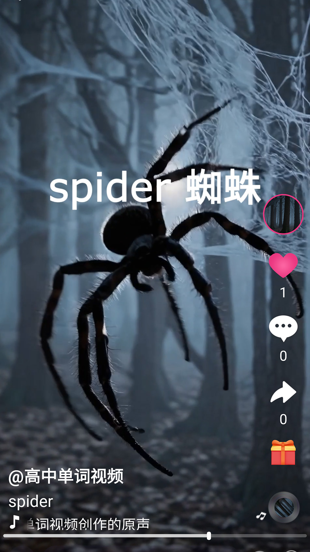 精彩截图-刷单词2026官方新版