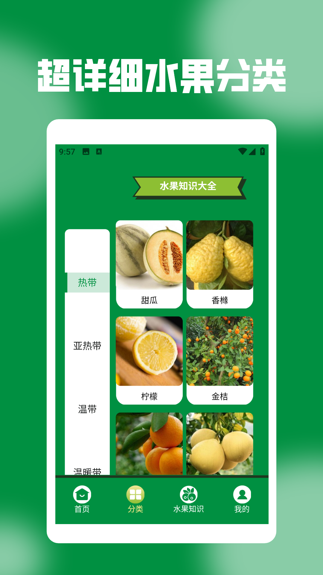 精彩截图-开个水果店玩玩2025官方新版