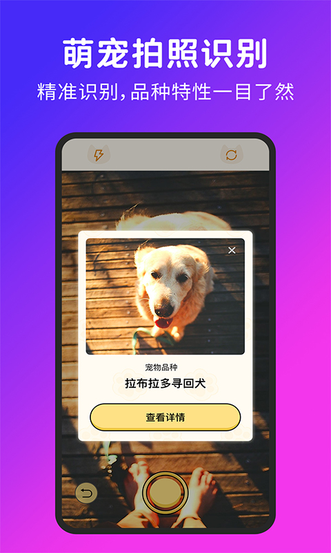 精彩截图-喵汪宠物猫狗翻译器2026官方新版