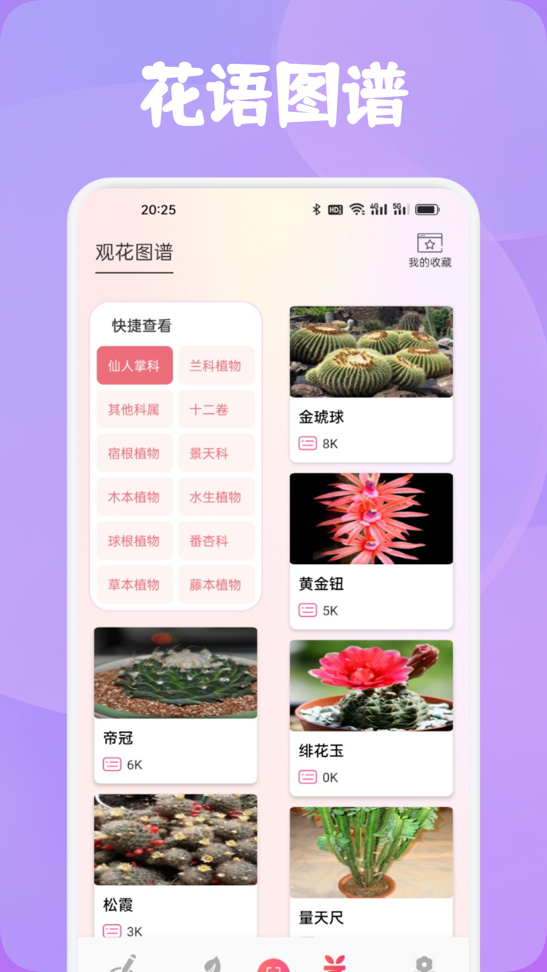 精彩截图-花语2026官方新版