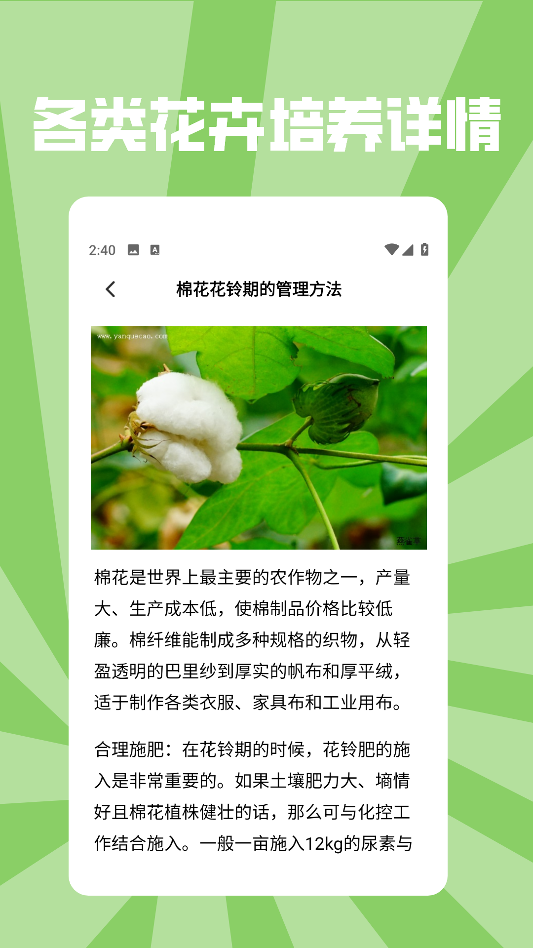 精彩截图-花朵物语pro2026官方新版