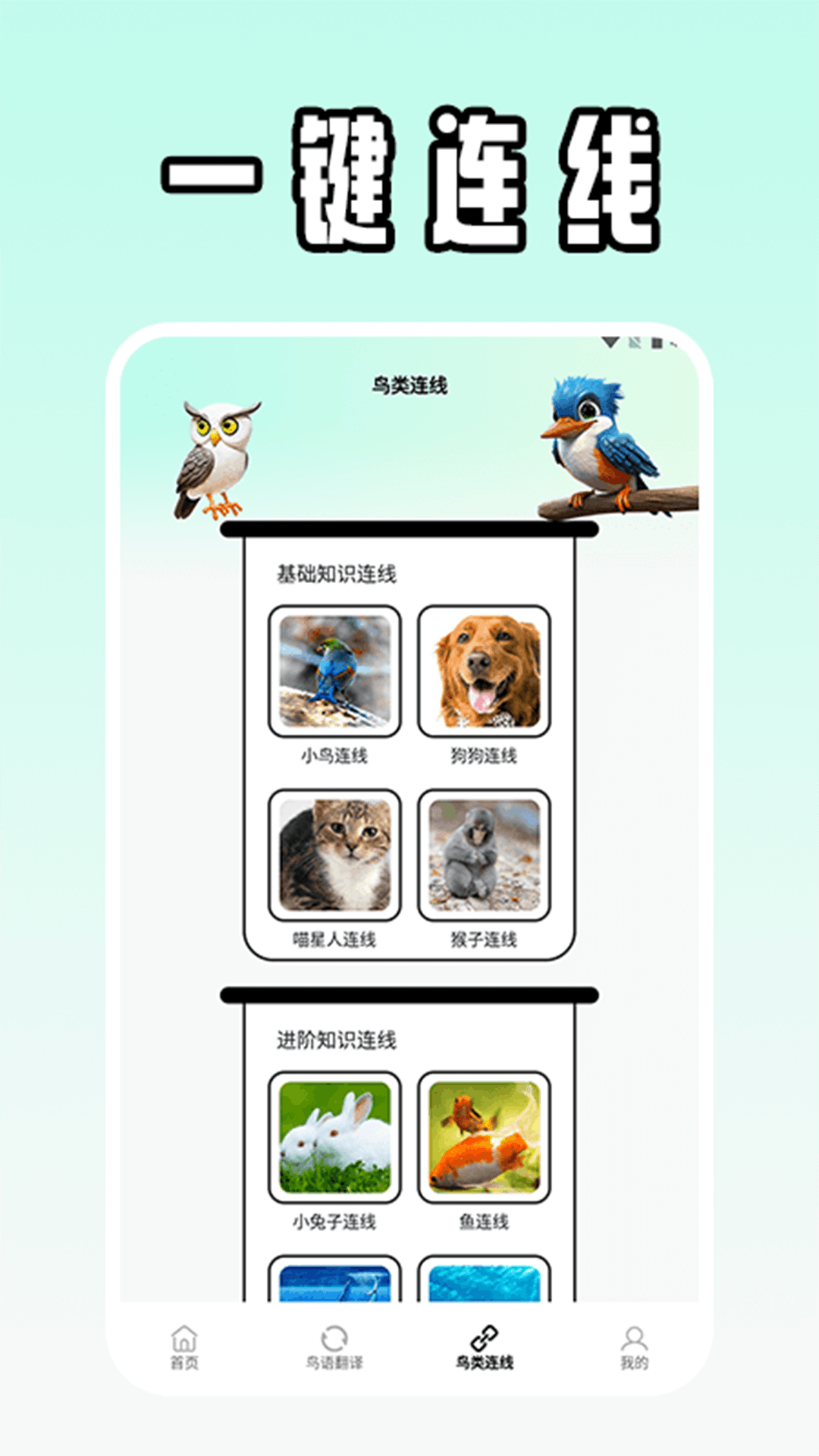 精彩截图-孤独的鸟2026官方新版