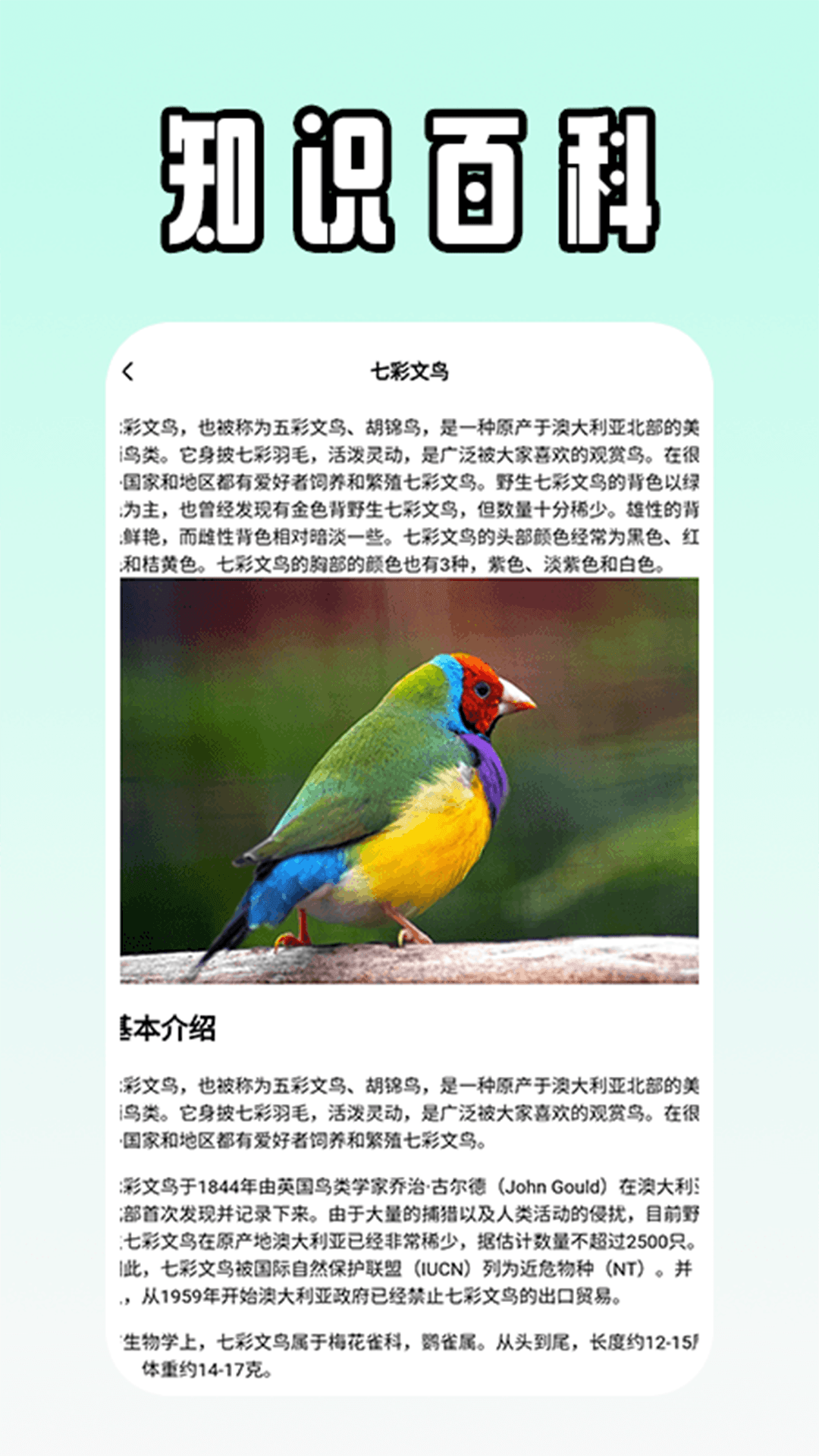 精彩截图-孤独的鸟2026官方新版