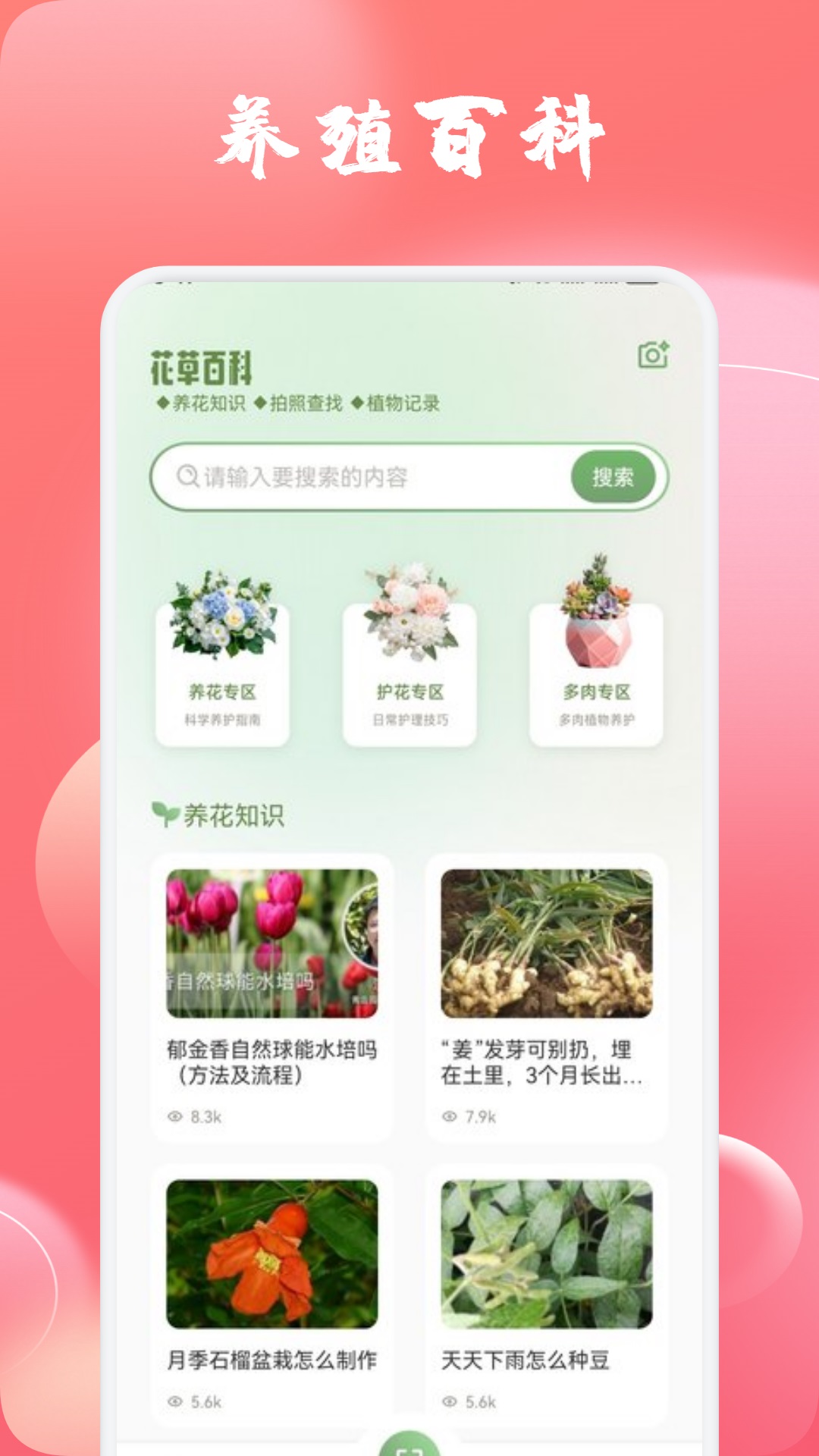 精彩截图-玫瑰2026官方新版