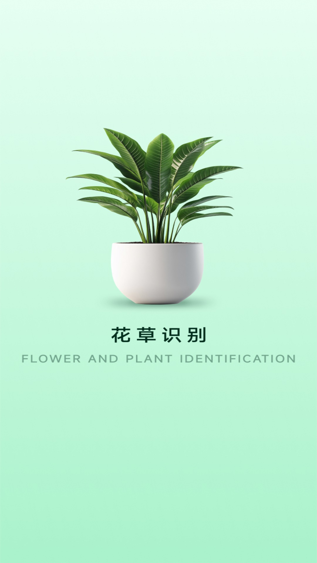 精彩截图-玫瑰2026官方新版