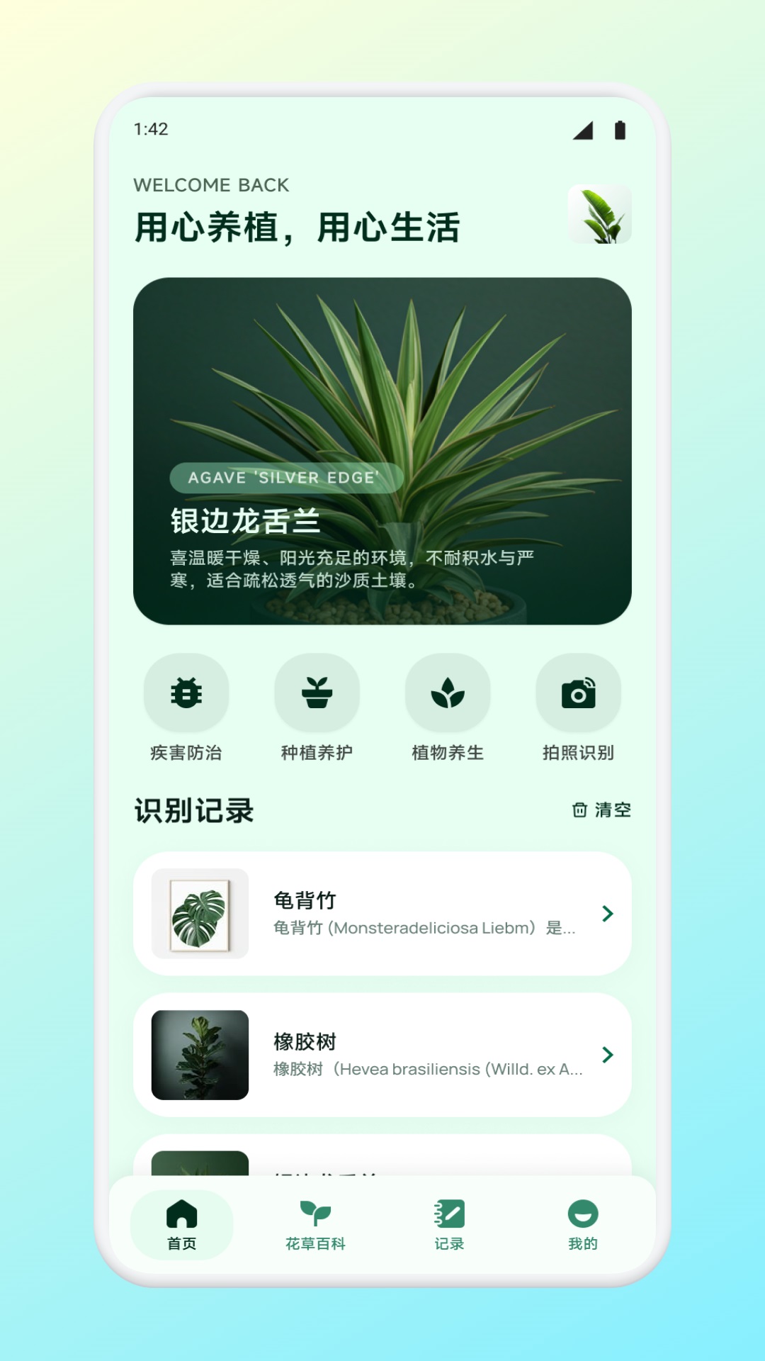 精彩截图-玫瑰2026官方新版