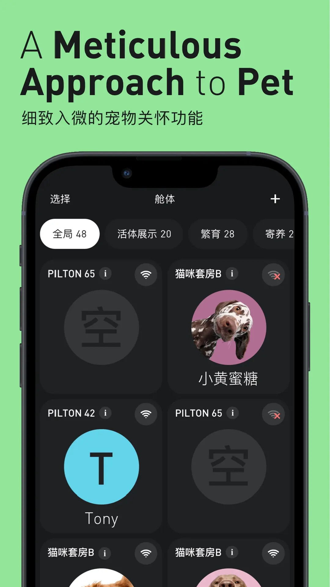 精彩截图-Pilton2026官方新版