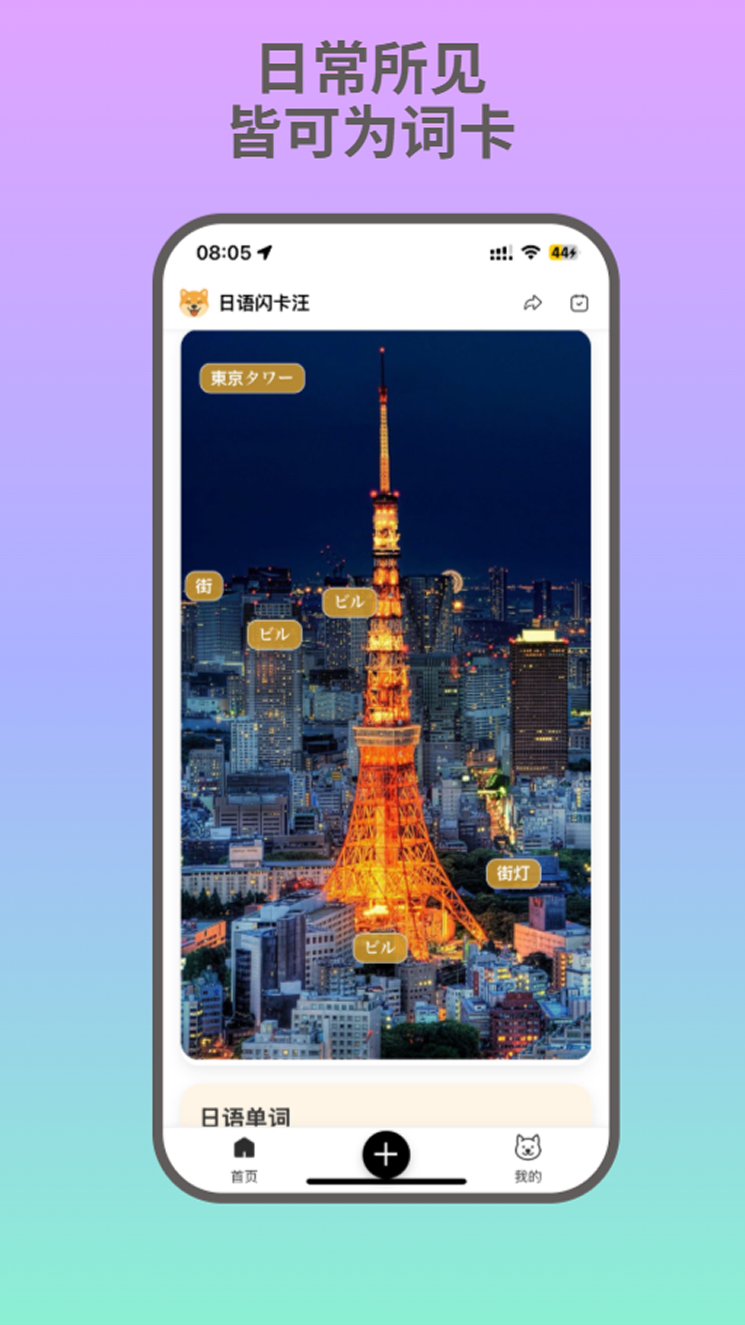 精彩截图-日语闪卡汪2026官方新版