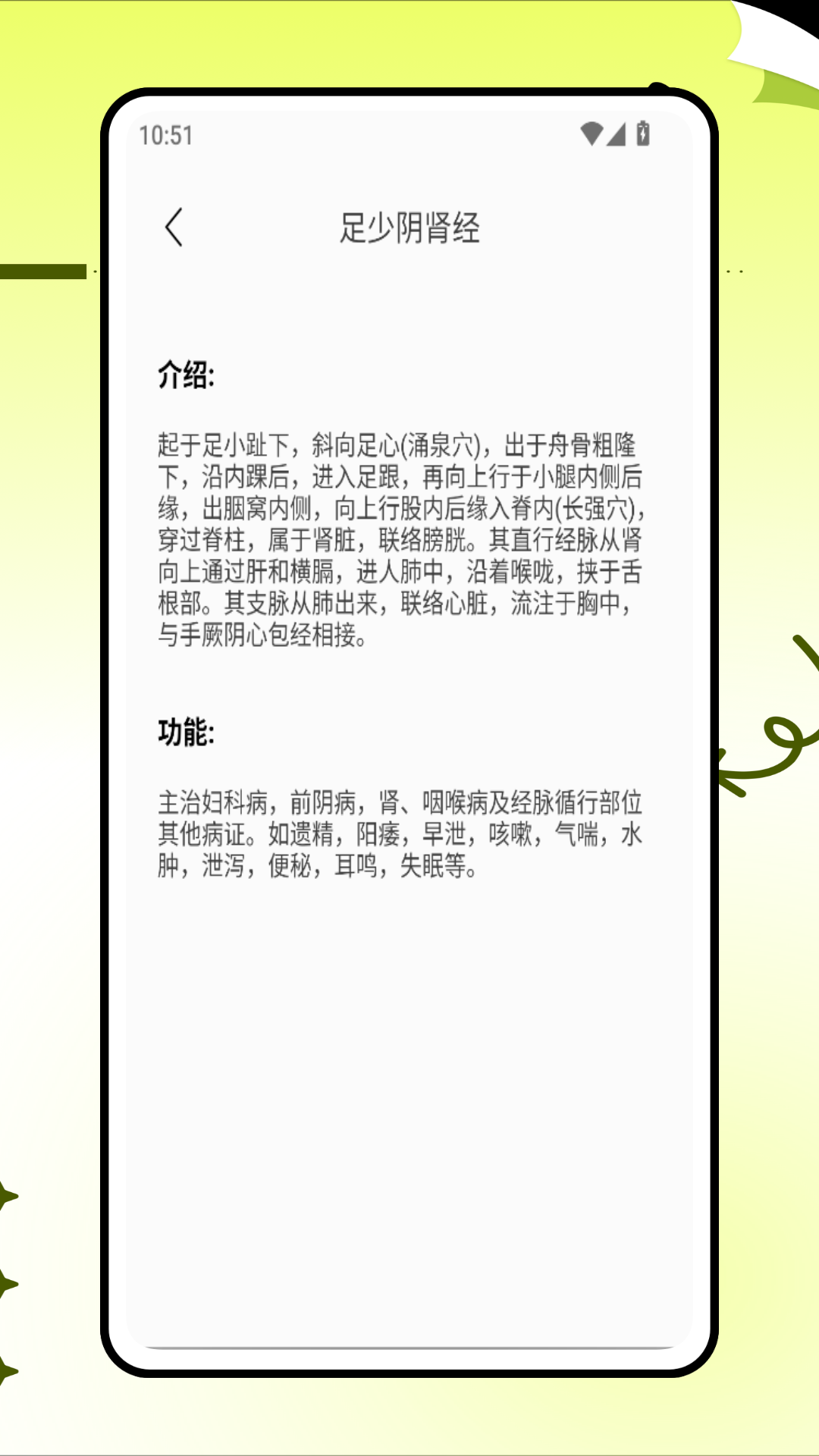 精彩截图-中济经络穴位2025官方新版