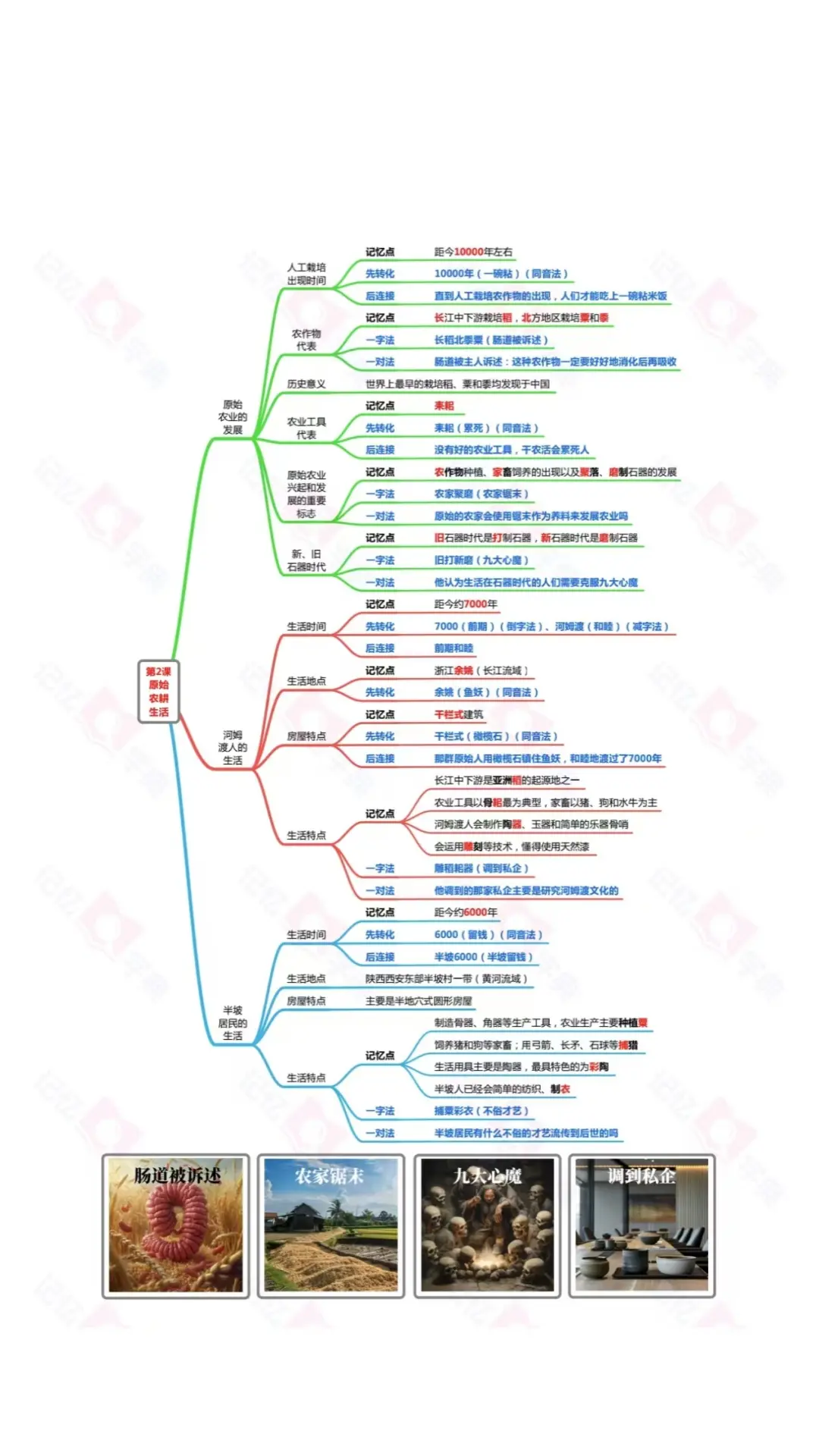 精彩截图-记忆字典2026官方新版