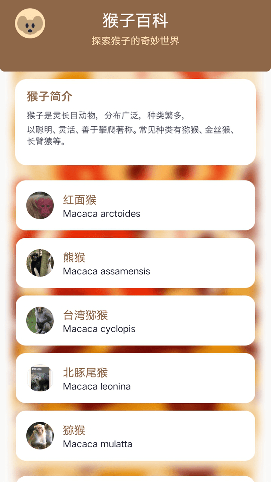 精彩截图-MonkeyPro2026官方新版