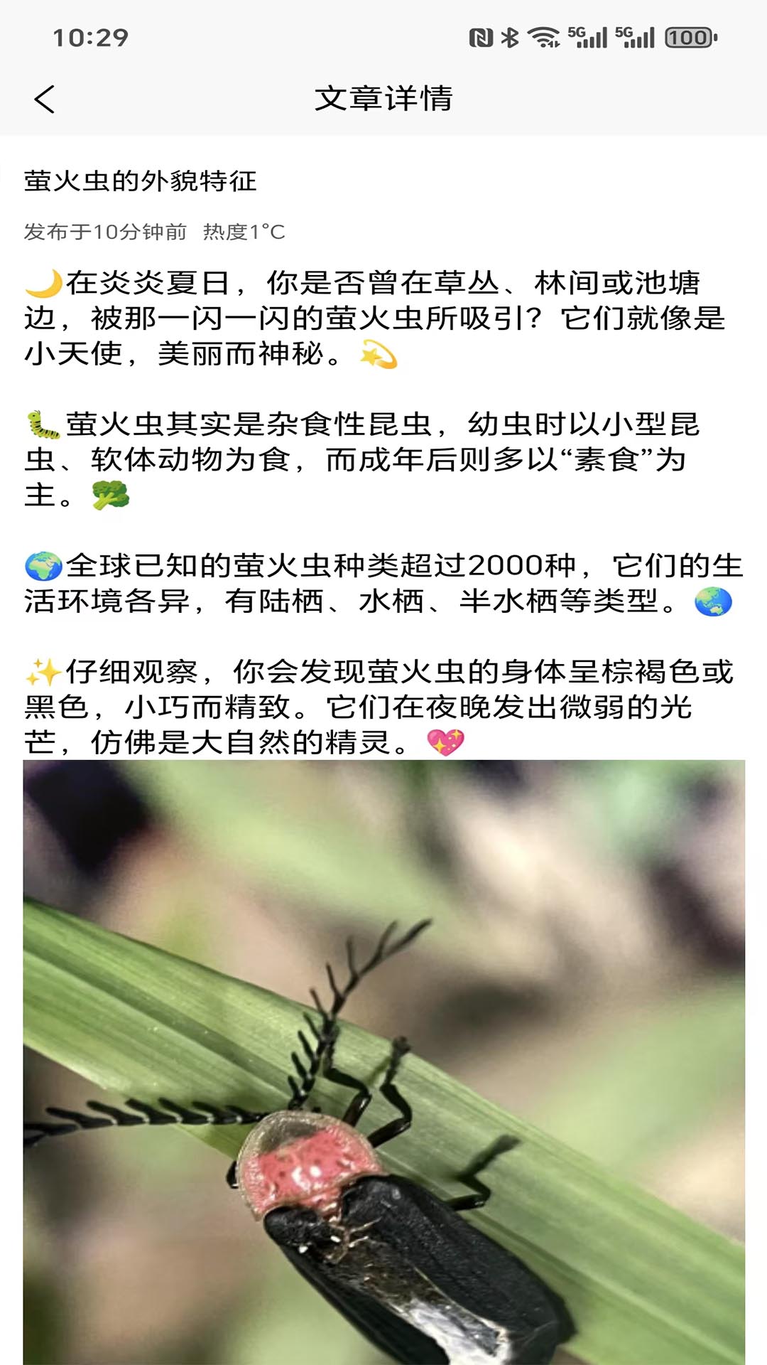 精彩截图-萤火虫2026官方新版