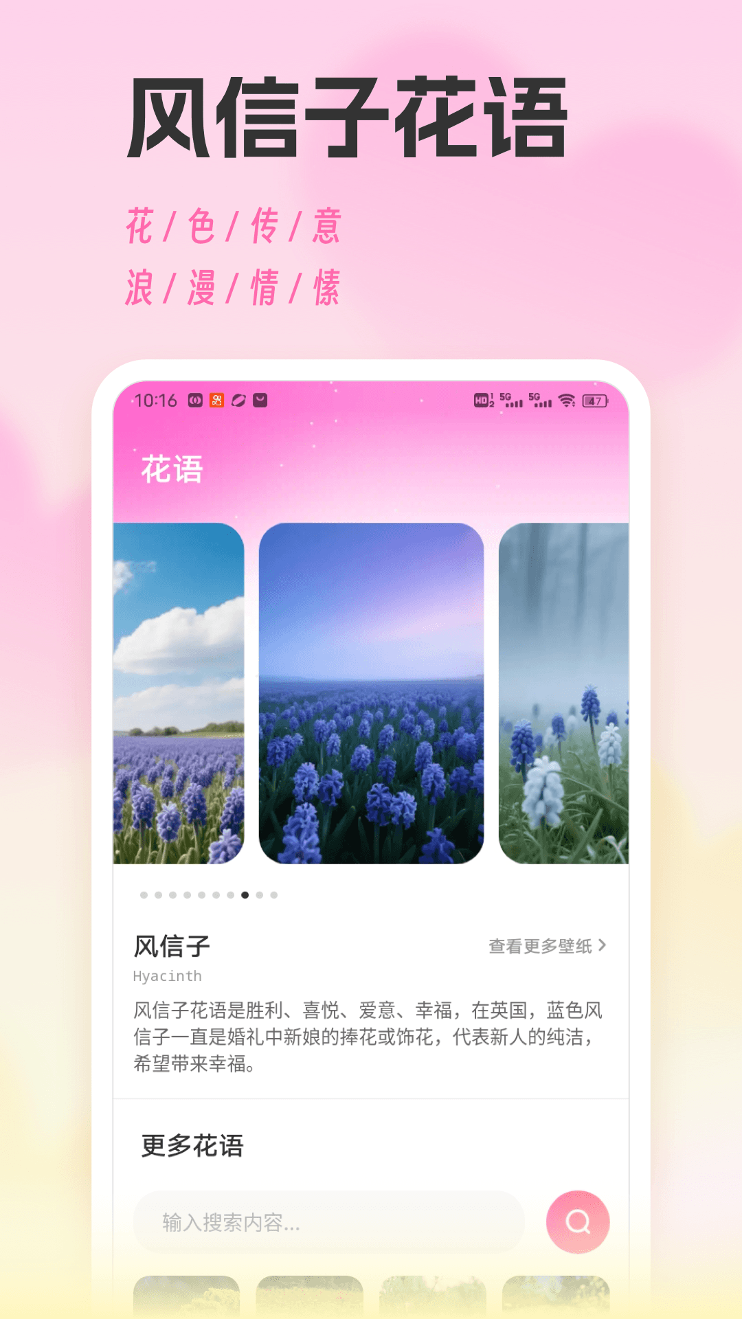 精彩截图-风信子2025官方新版