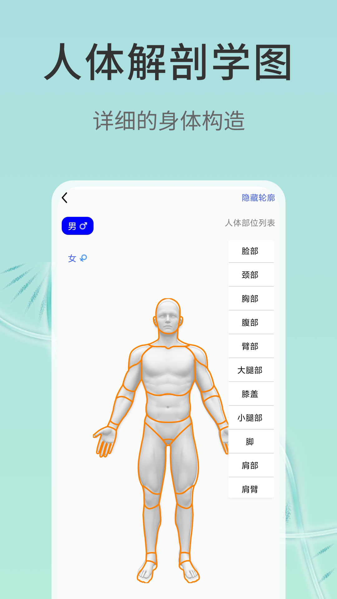 精彩截图-3d解剖2026官方新版