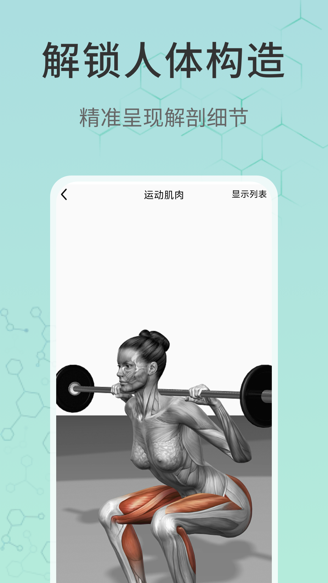 精彩截图-3d解剖2026官方新版