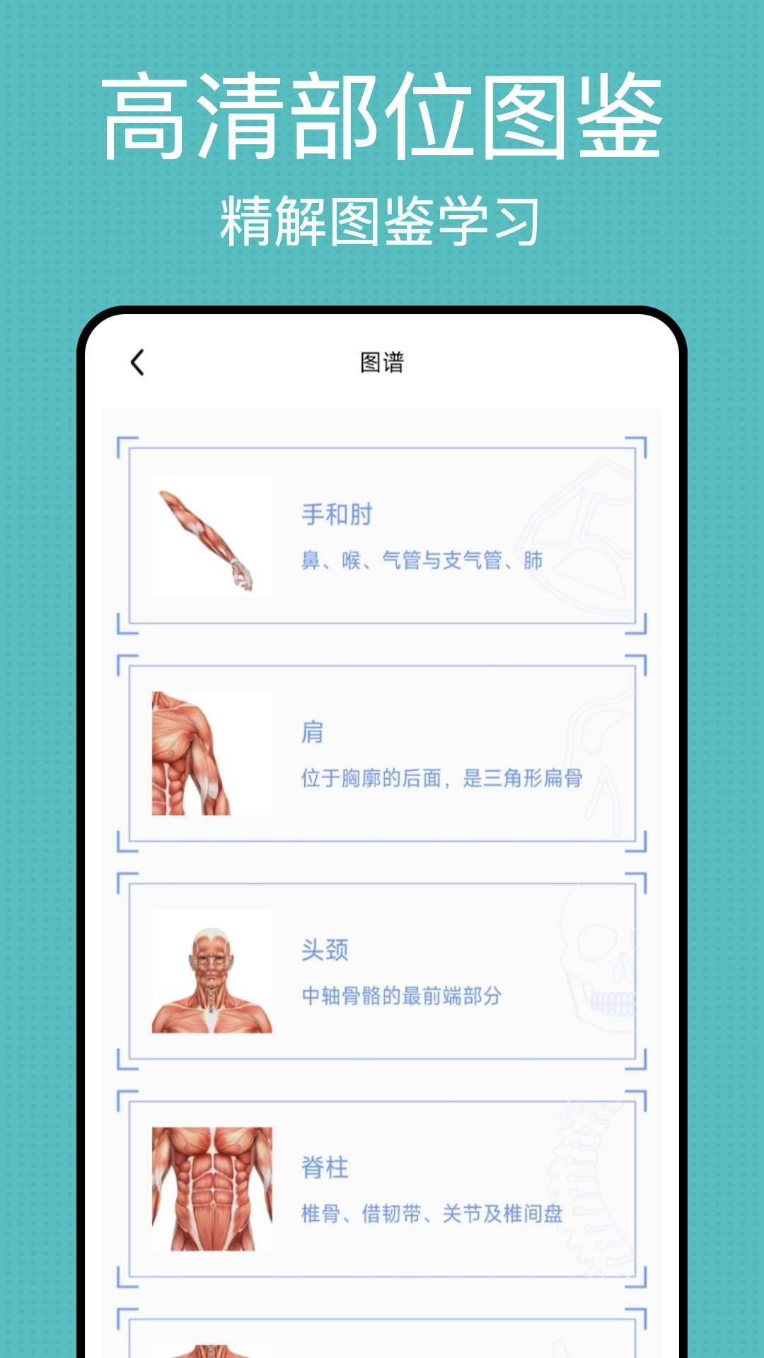 精彩截图-3d解剖2026官方新版