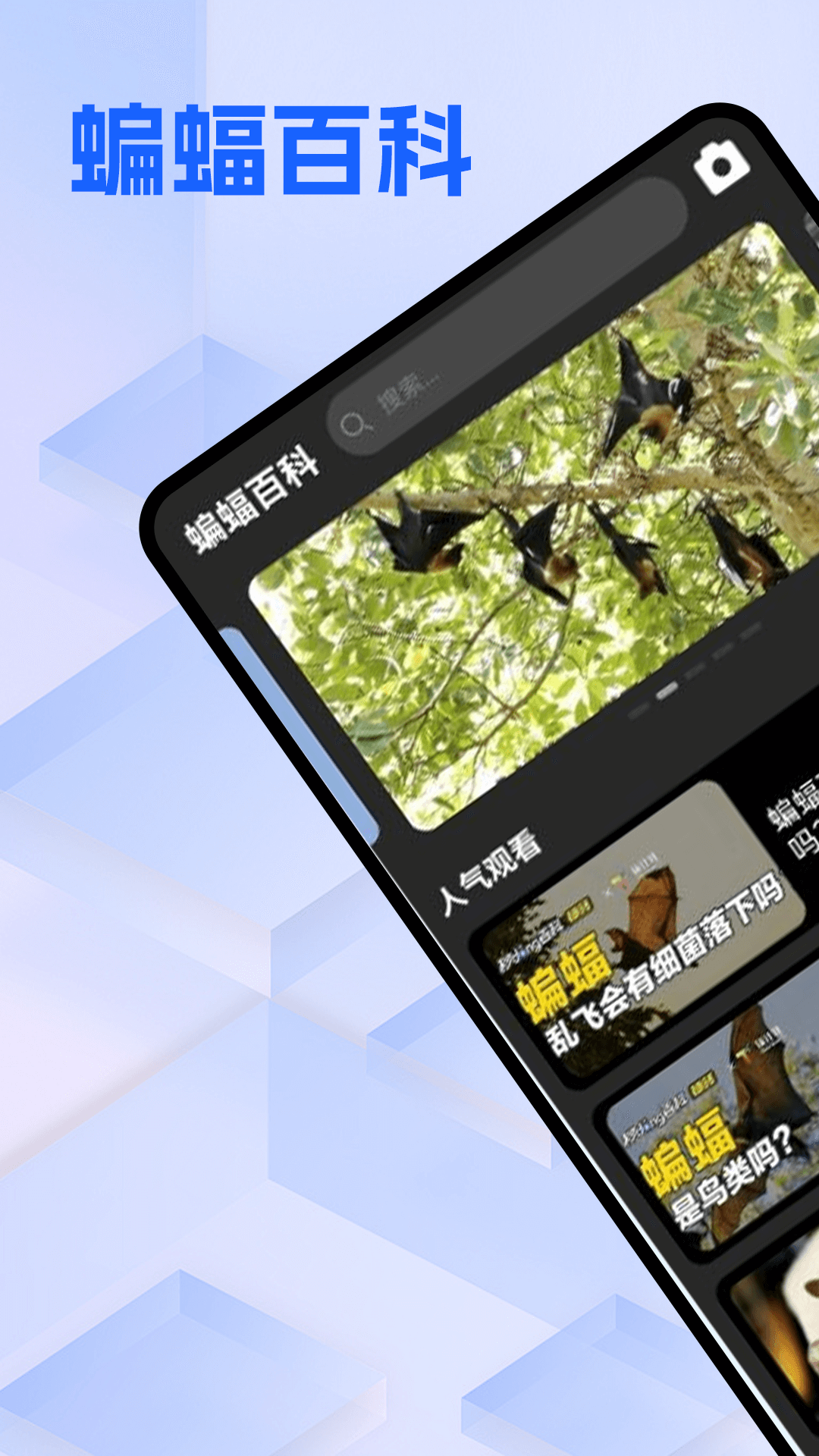 精彩截图-Batchat蝙蝠2025官方新版