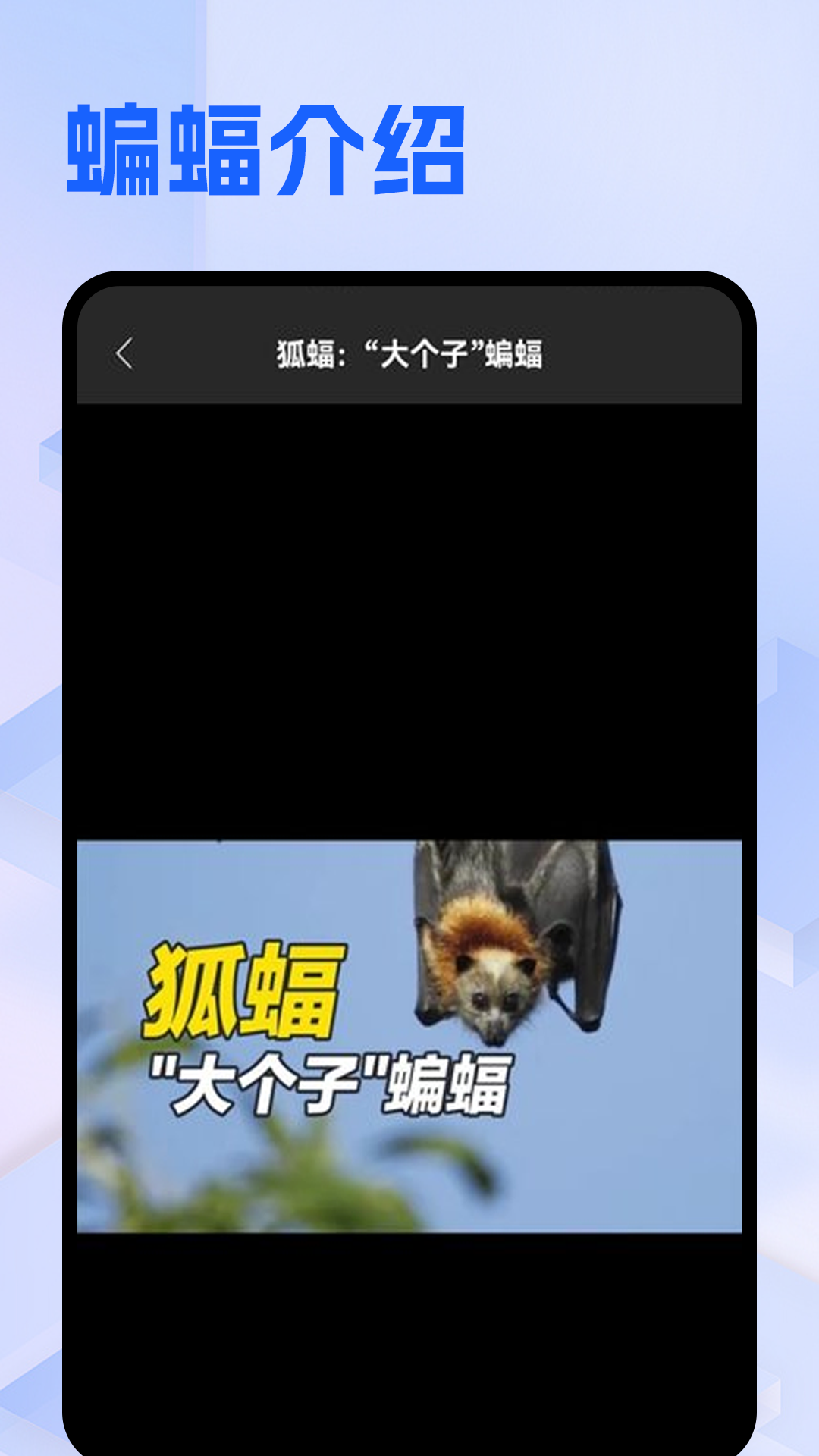 精彩截图-Batchat蝙蝠2025官方新版