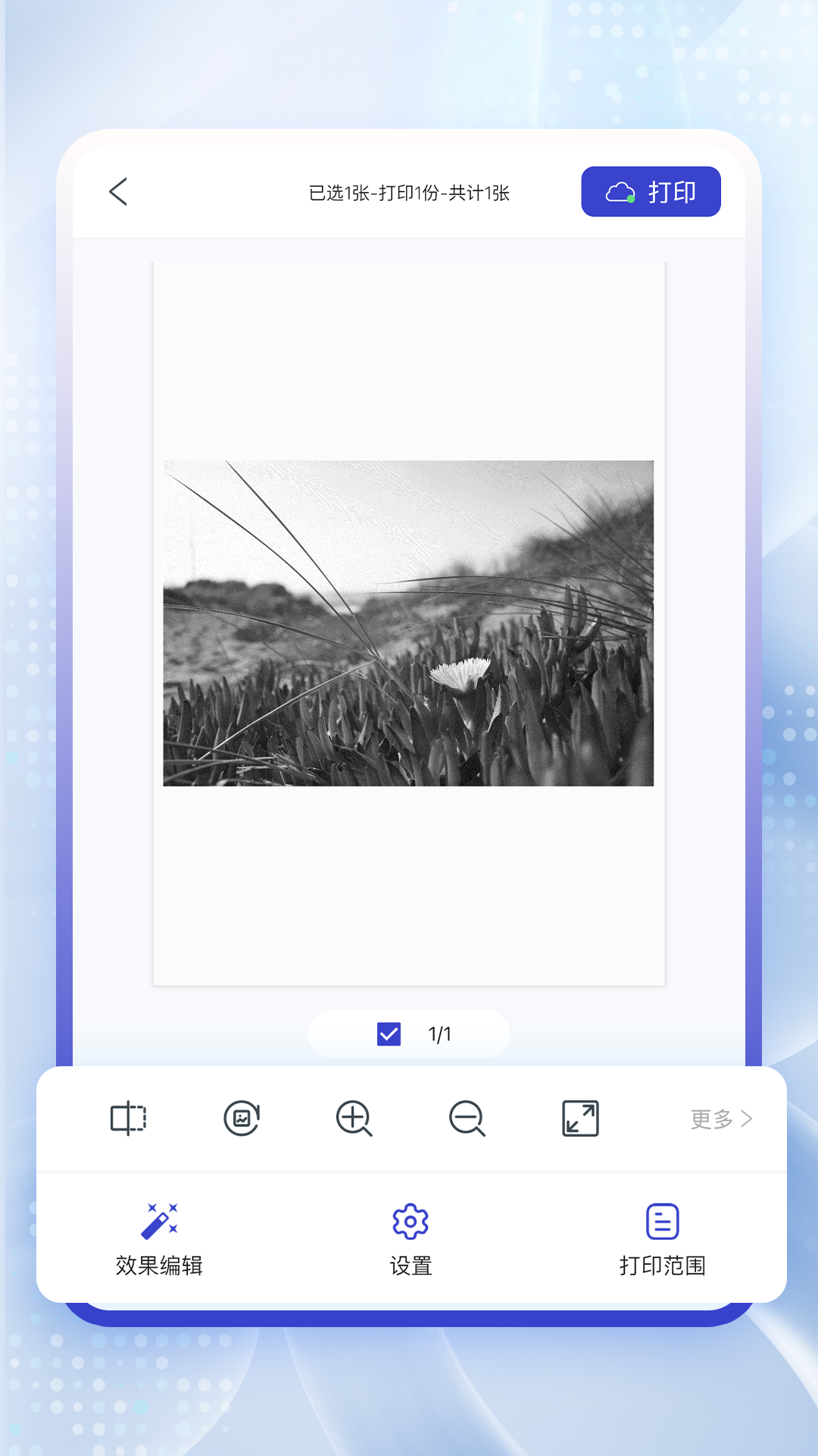 精彩截图-云芯智印2025官方新版