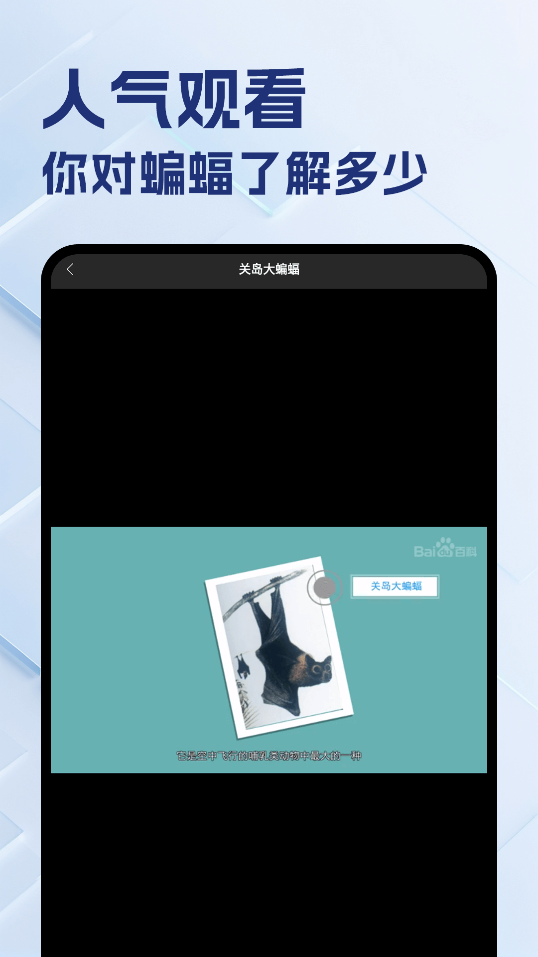 精彩截图-蝙蝠2025官方新版