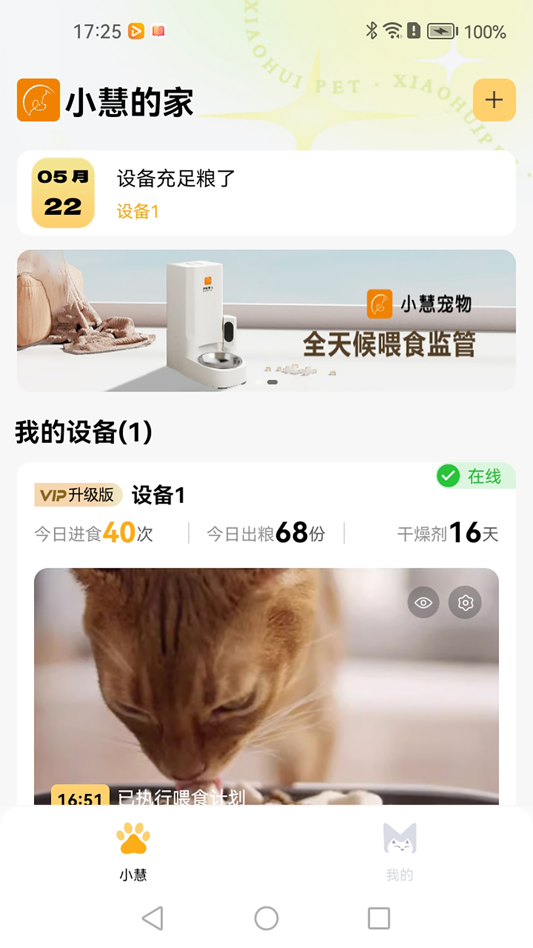 精彩截图-小慧宠物2025官方新版