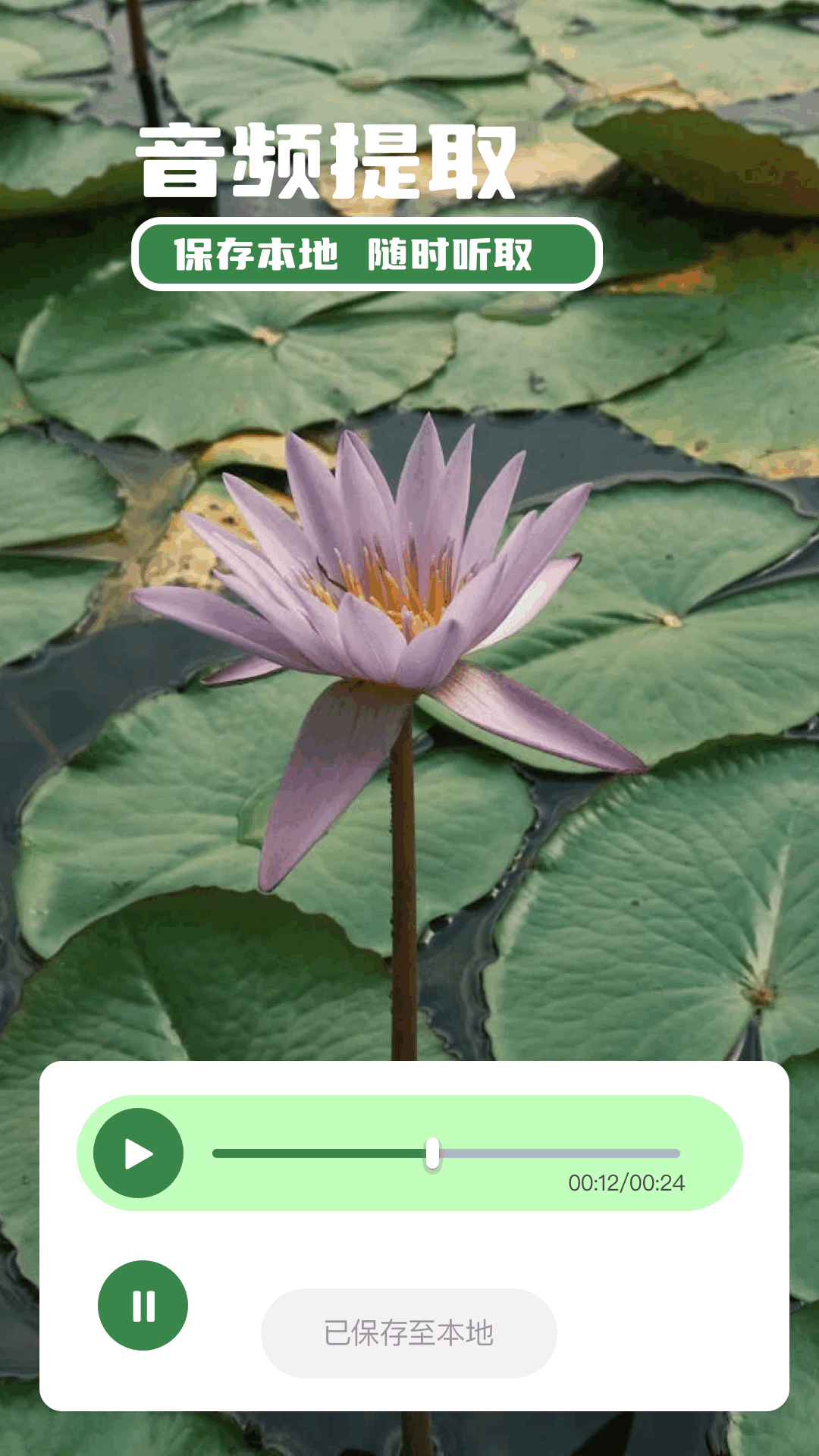 精彩截图-苍龙视频2026官方新版