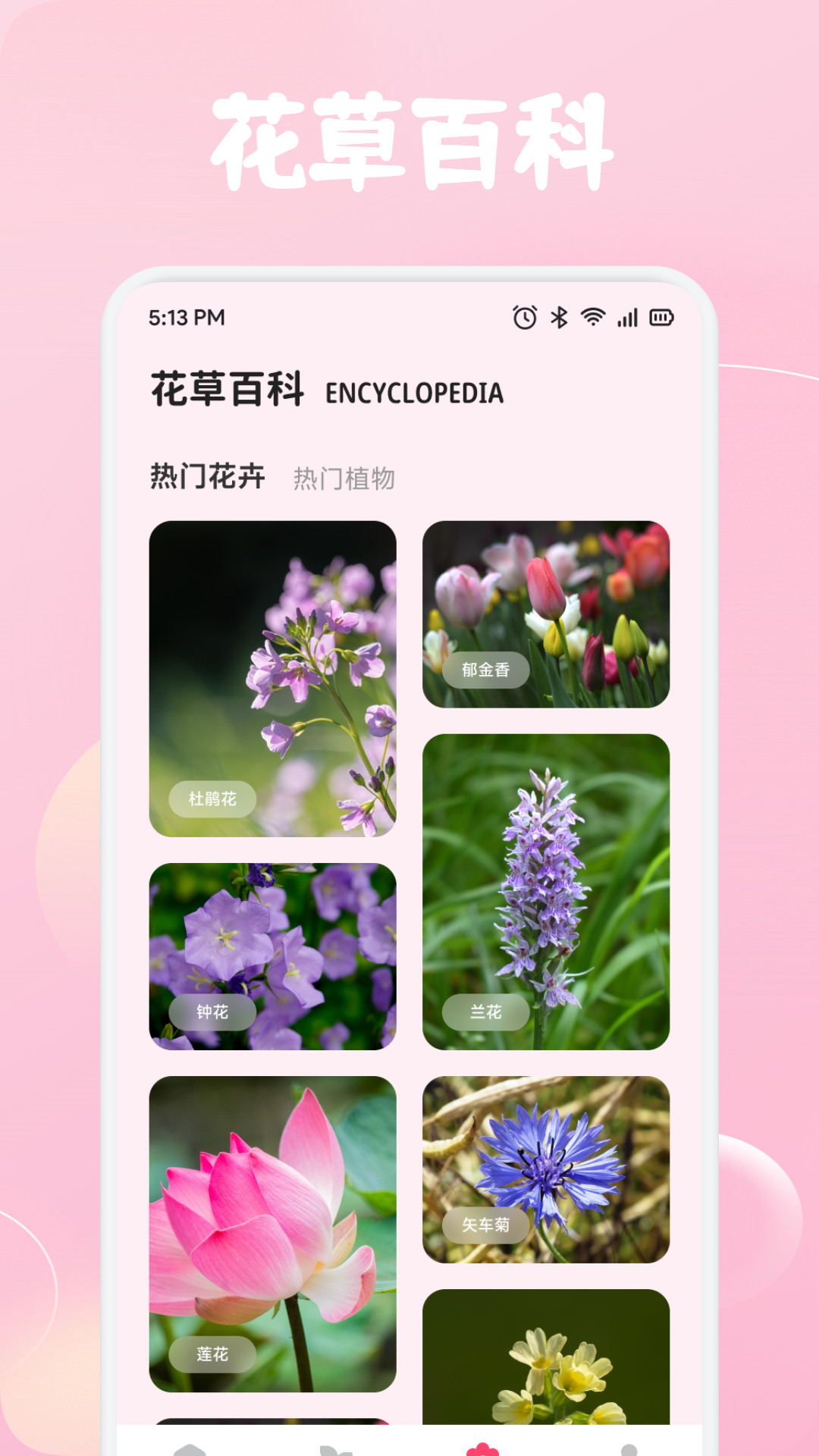 精彩截图-花苞2026官方新版