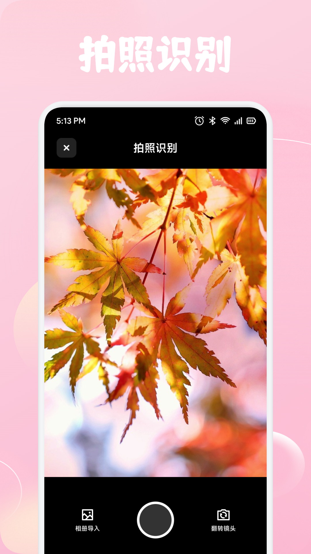 精彩截图-花苞2026官方新版