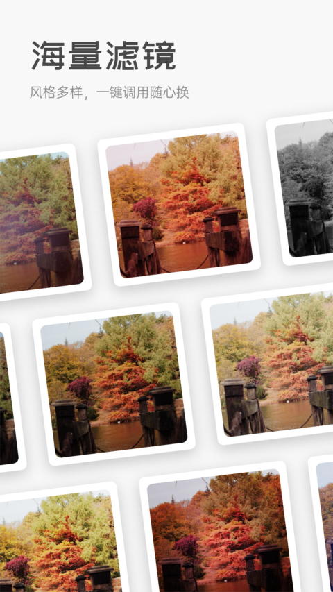 精彩截图-凤凰V迅2026官方新版