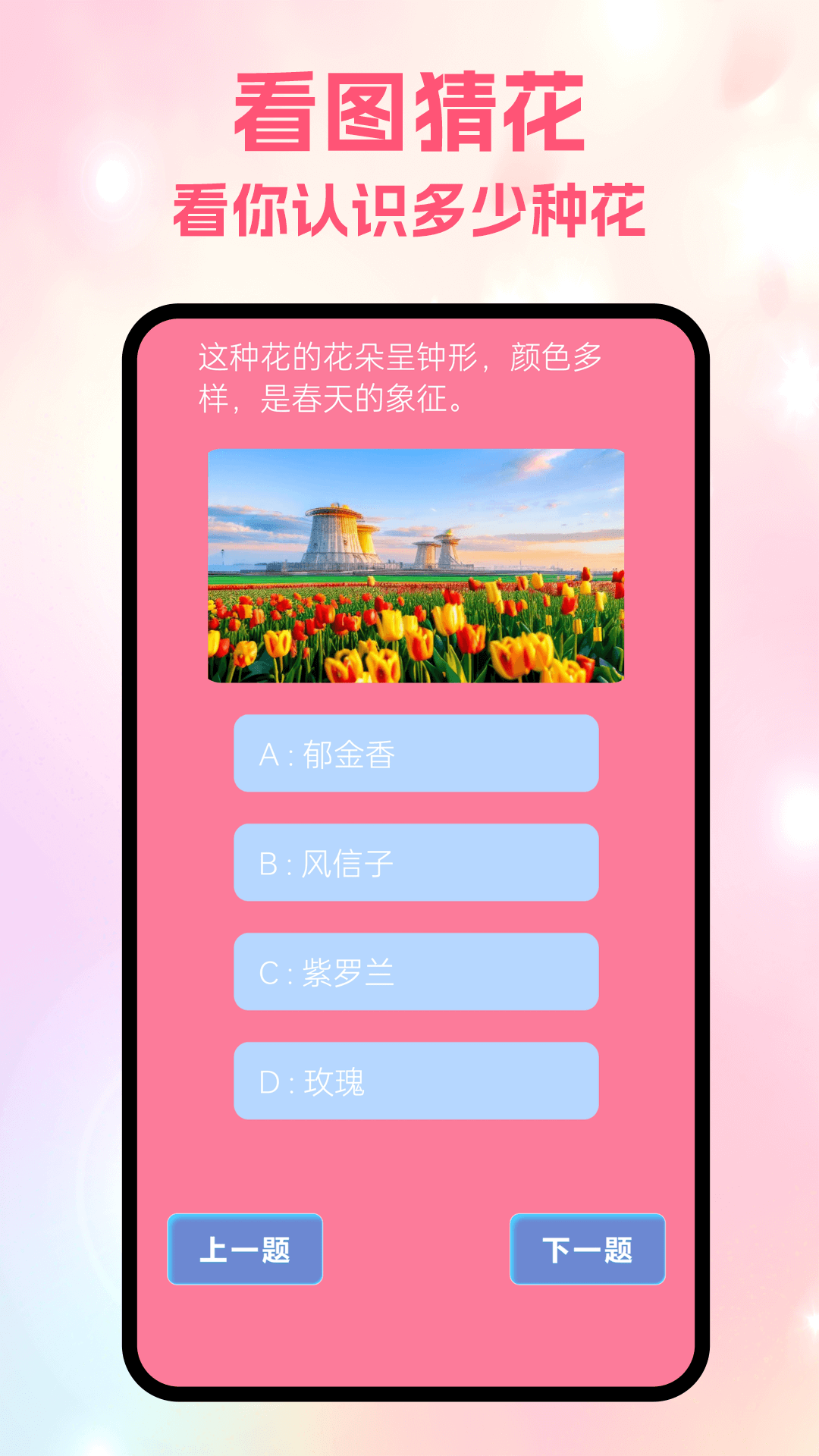 精彩截图-风信2026官方新版