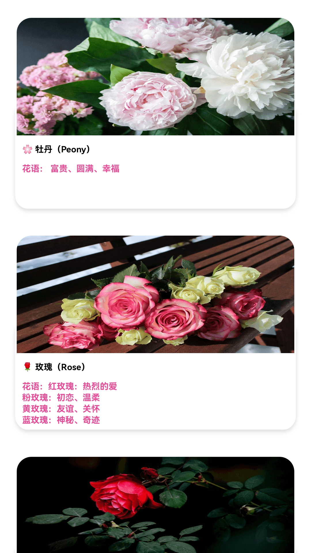 精彩截图-乐看不停2025官方新版