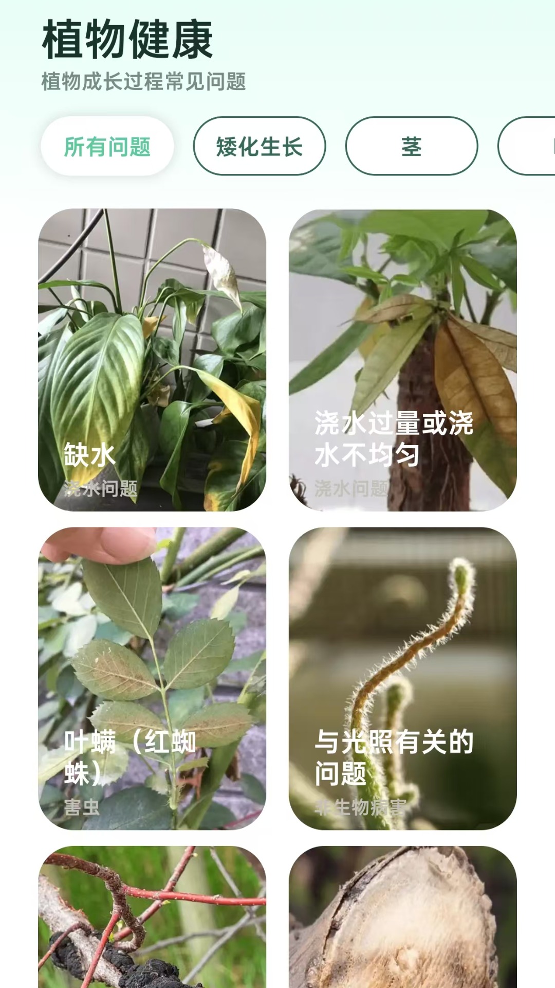 精彩截图-爱馨花园2025官方新版