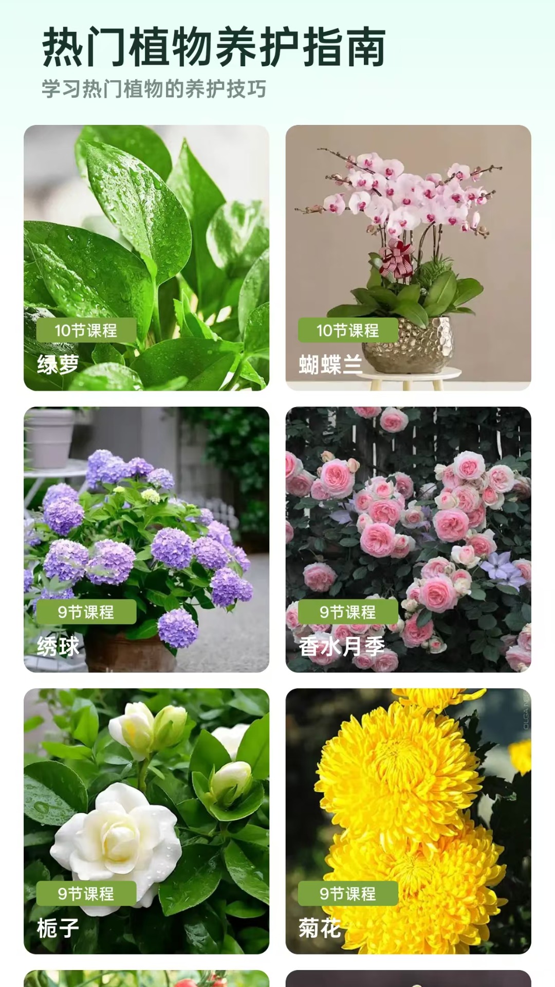 精彩截图-爱馨花园2025官方新版