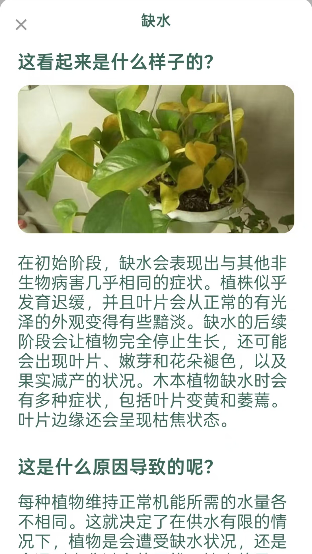 精彩截图-爱馨花园2025官方新版