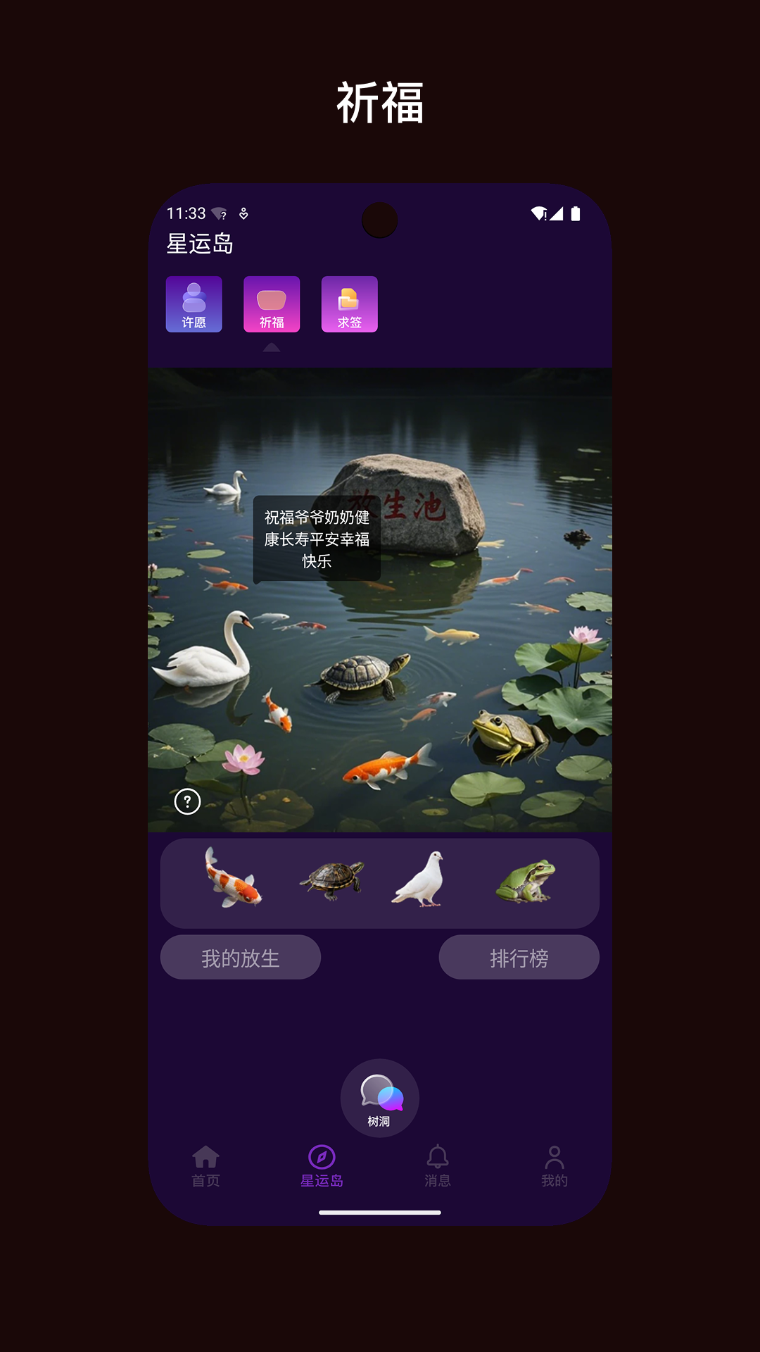 精彩截图-星运岛2026官方新版