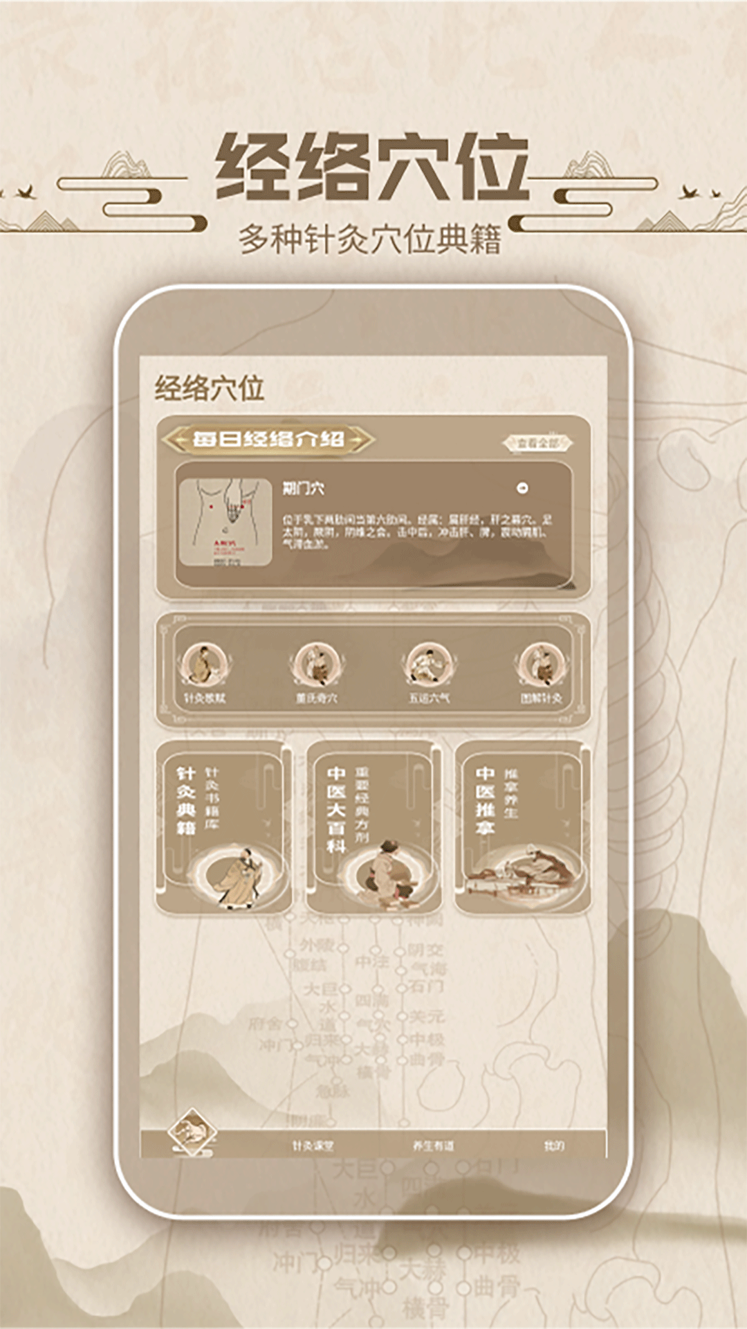 精彩截图-中济经络穴位2026官方新版