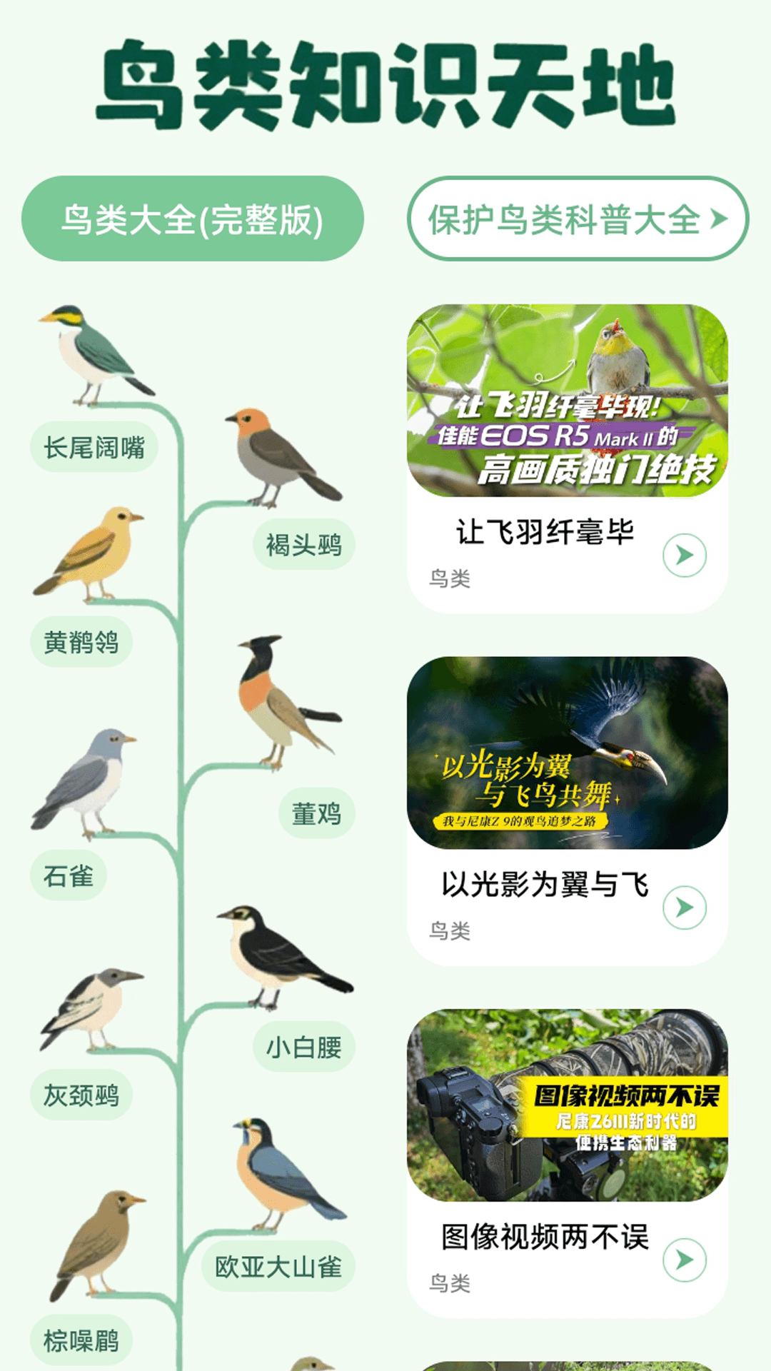 精彩截图-小飞飞重逢魔乐园2025官方新版