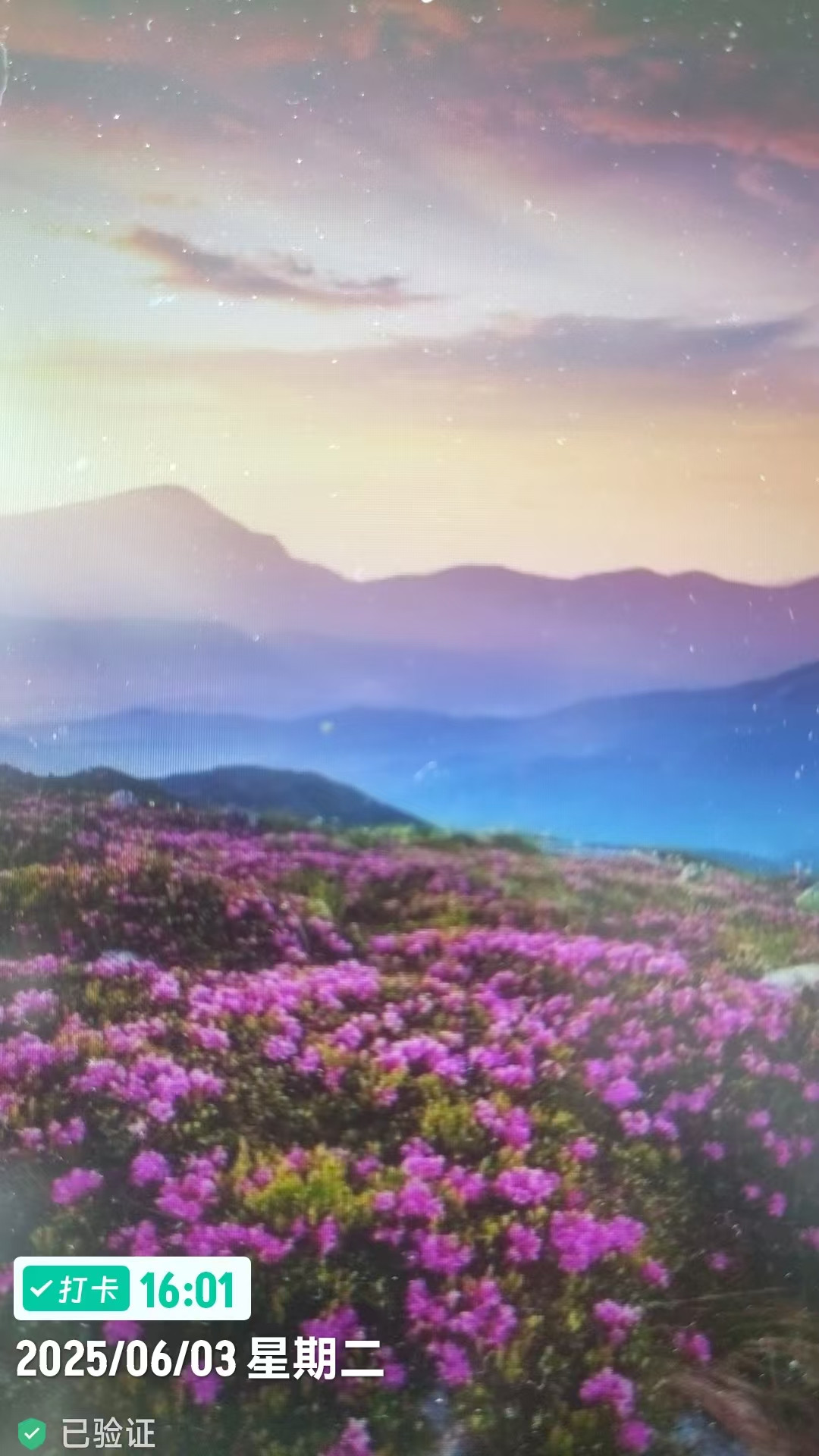 精彩截图-工程水印相机打卡拍照2026官方新版