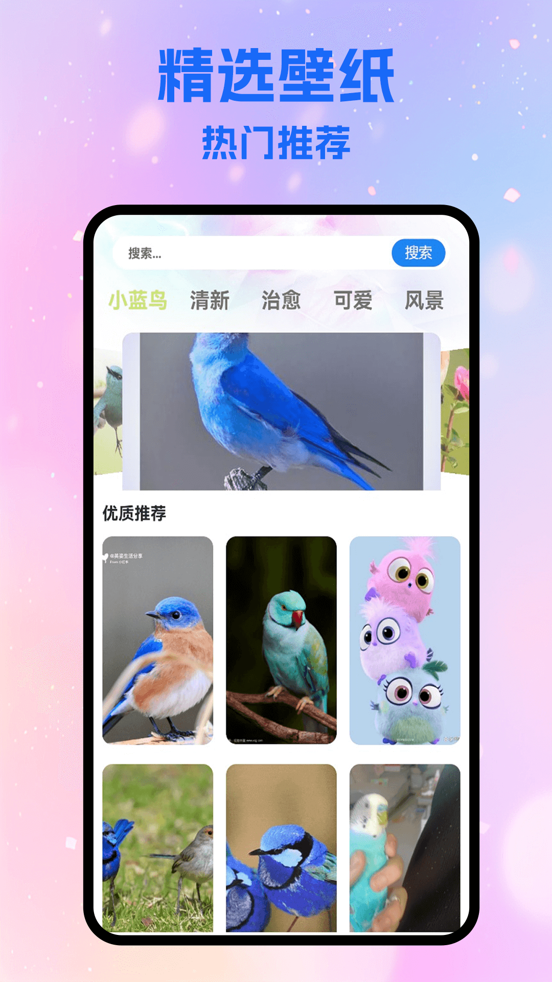 精彩截图-小蓝轻量版2025官方新版