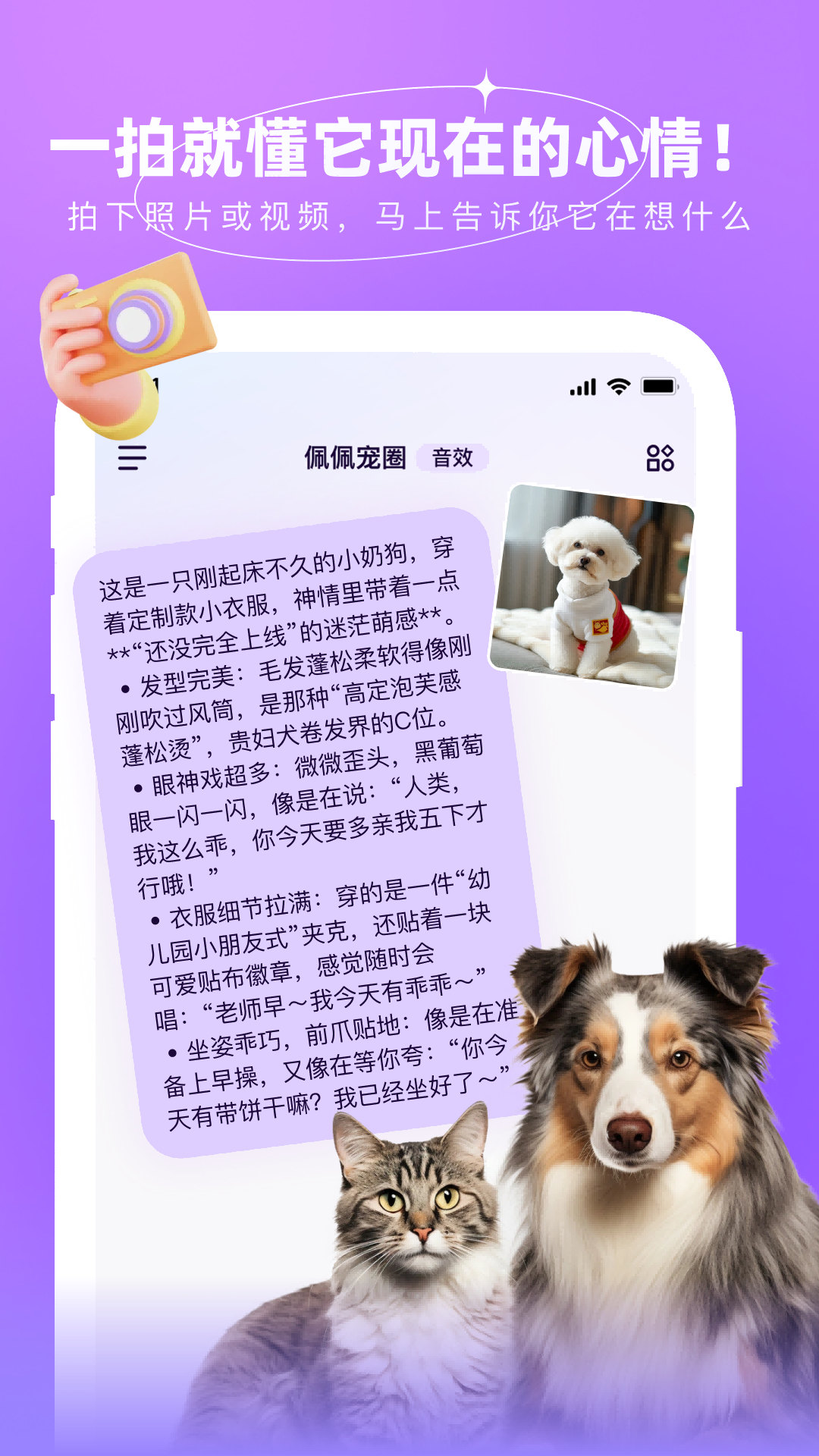 精彩截图-佩佩宠圈2026官方新版