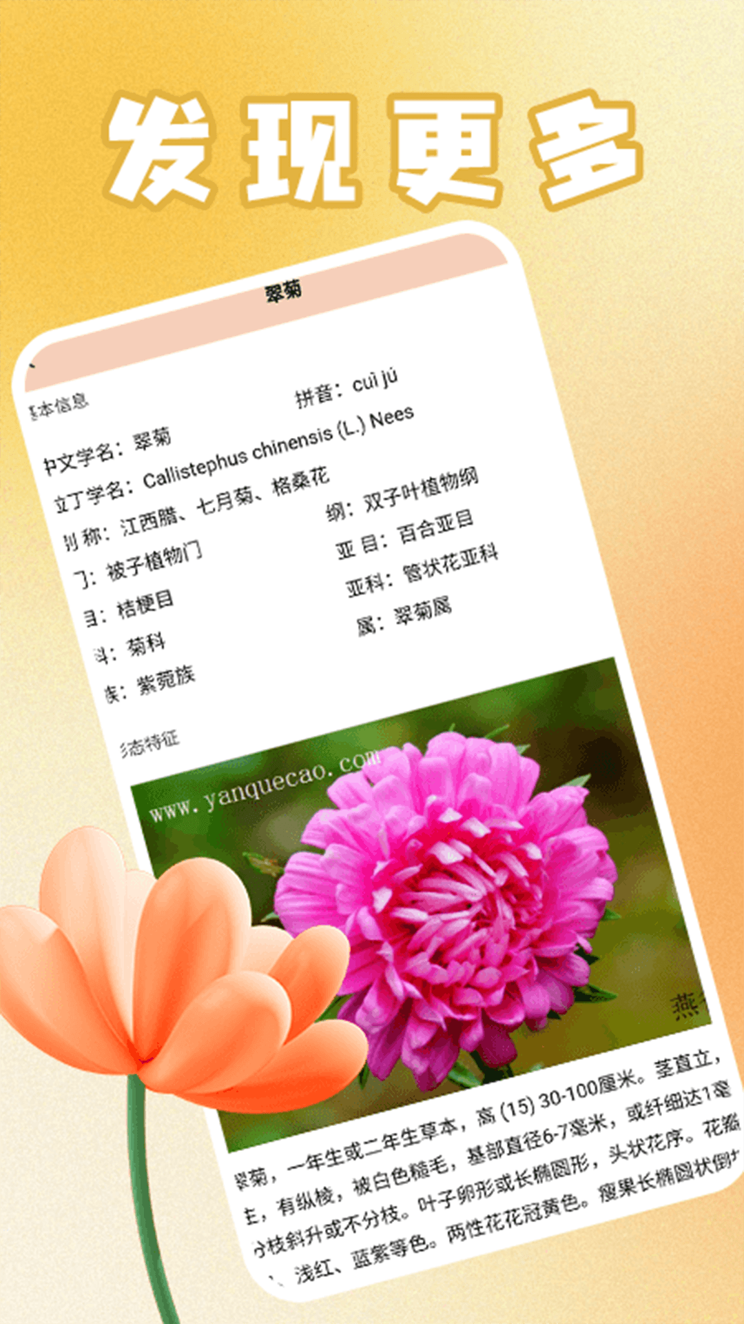 精彩截图-花满人间花语2026官方新版