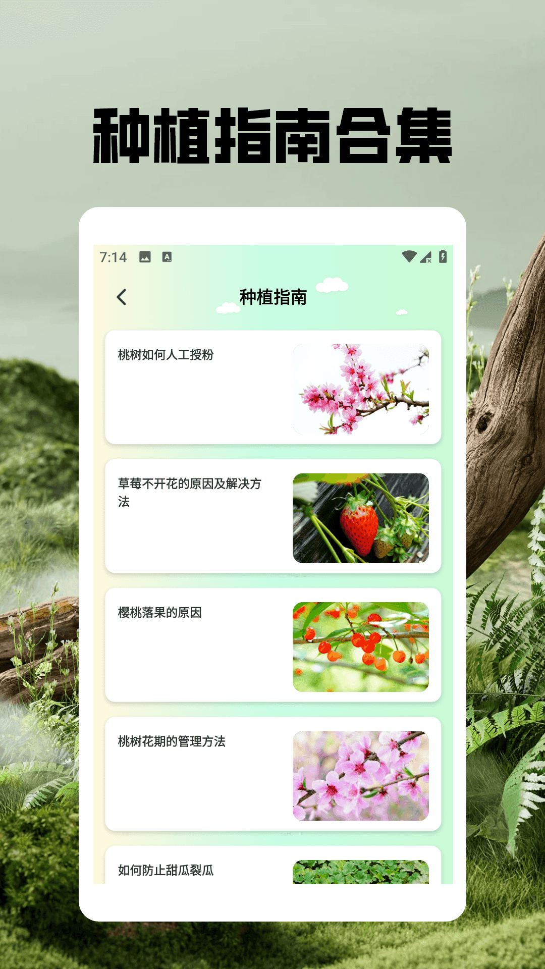 精彩截图-治愈农庄2026官方新版