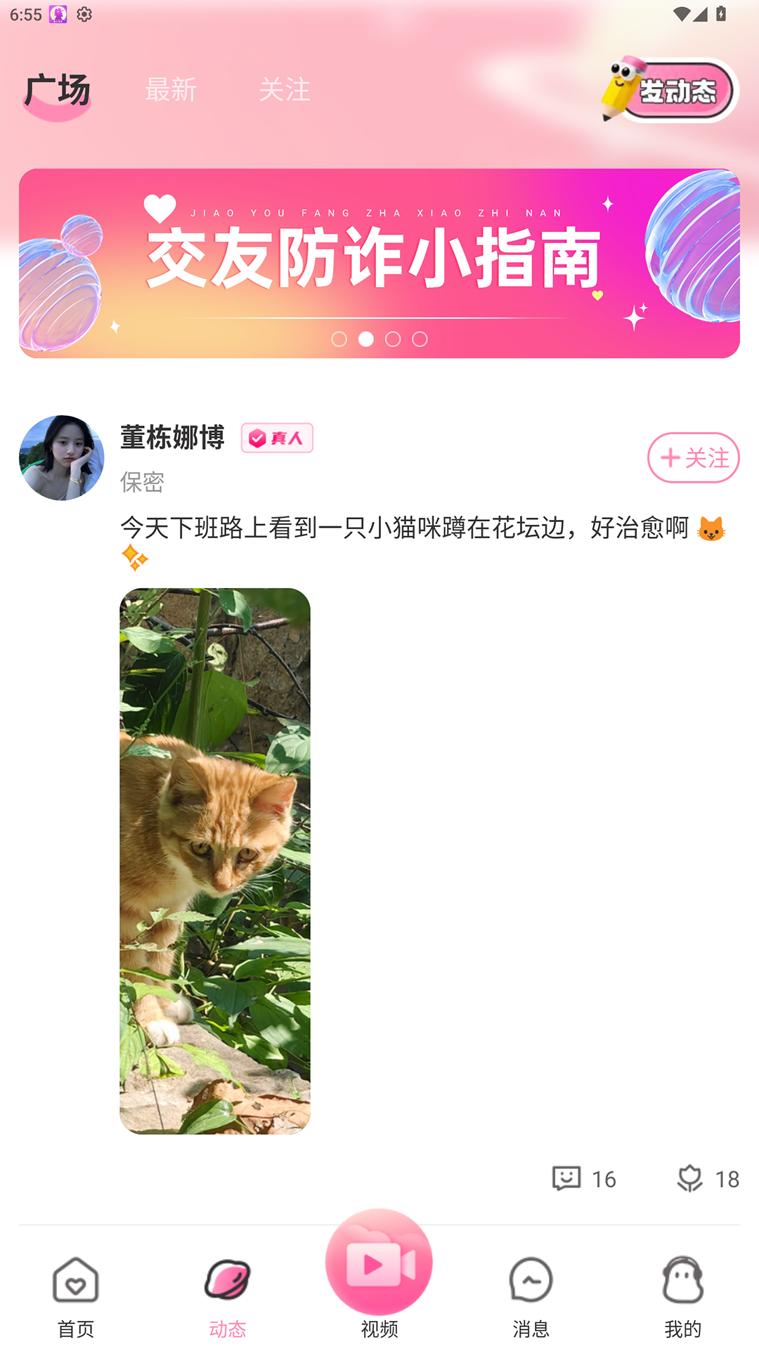 雀念 截图 3
