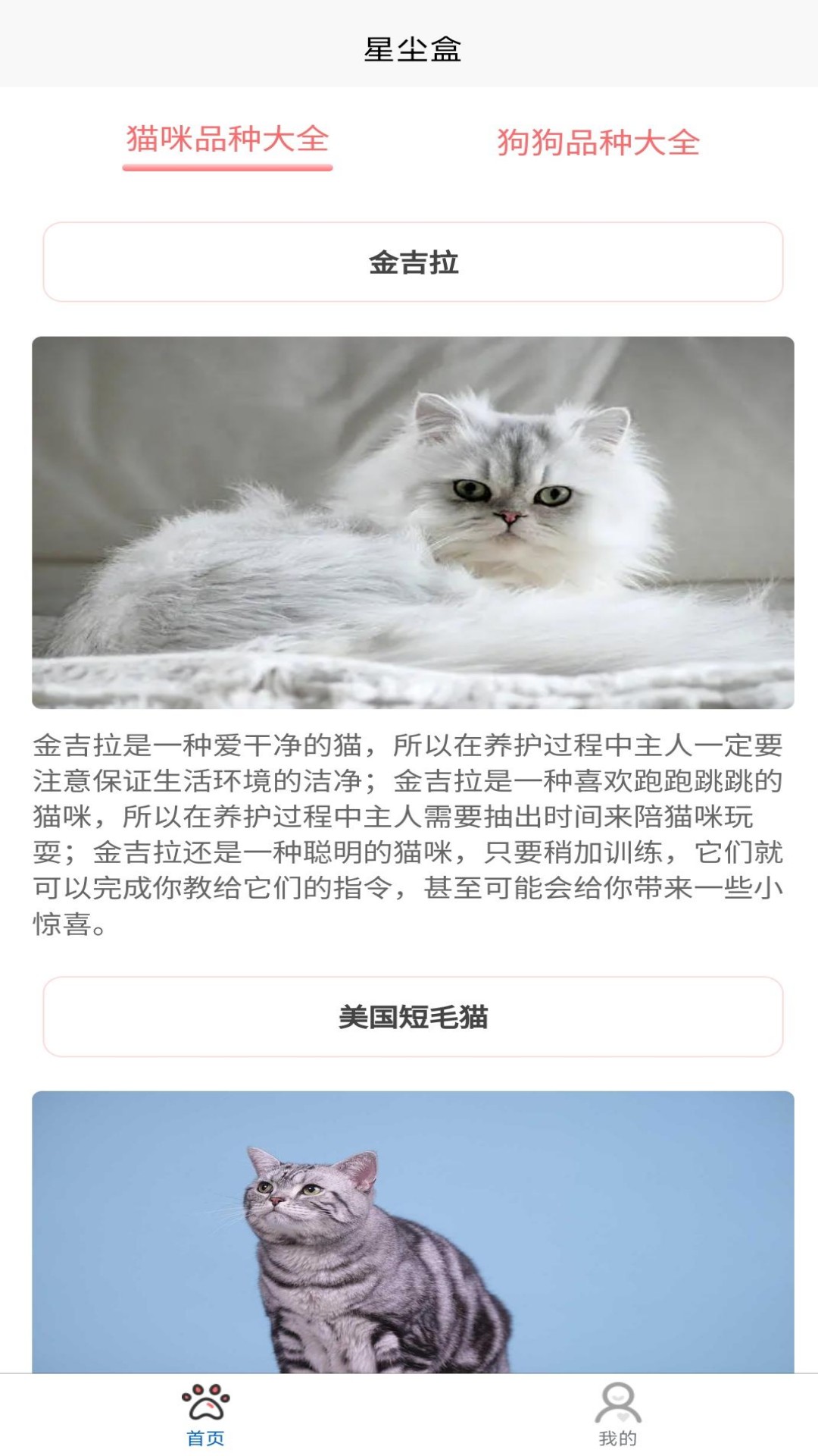 精彩截图-星尘盒2026官方新版