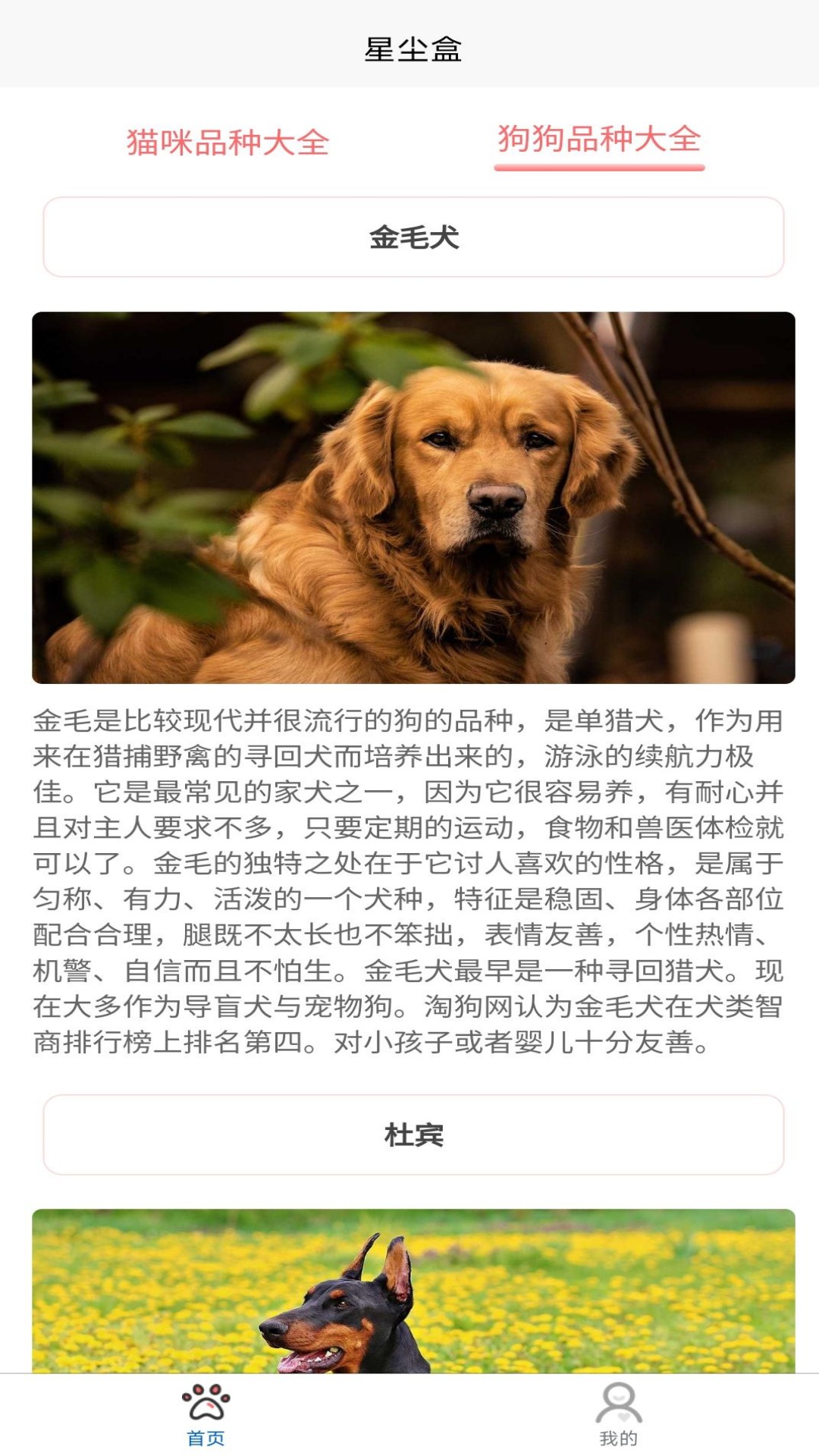 精彩截图-星尘盒2026官方新版