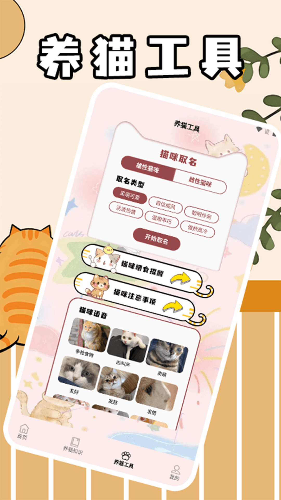 精彩截图-筑梦猫舍极速版2026官方新版